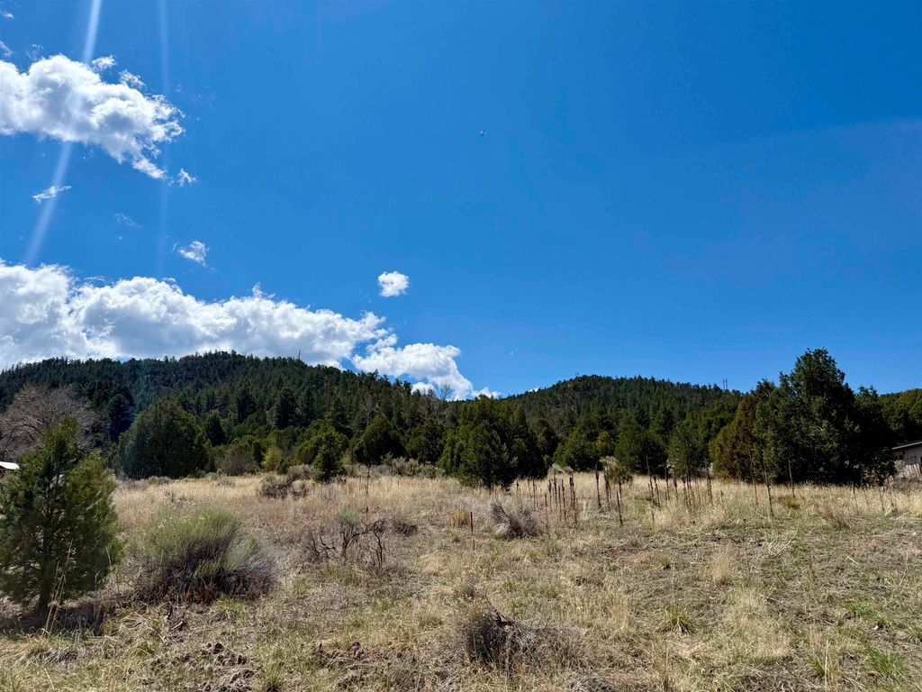 Photo of 5 Acres Tract 47 Old Red River Rd, Questa, NM 87556 (MLS # 113769)