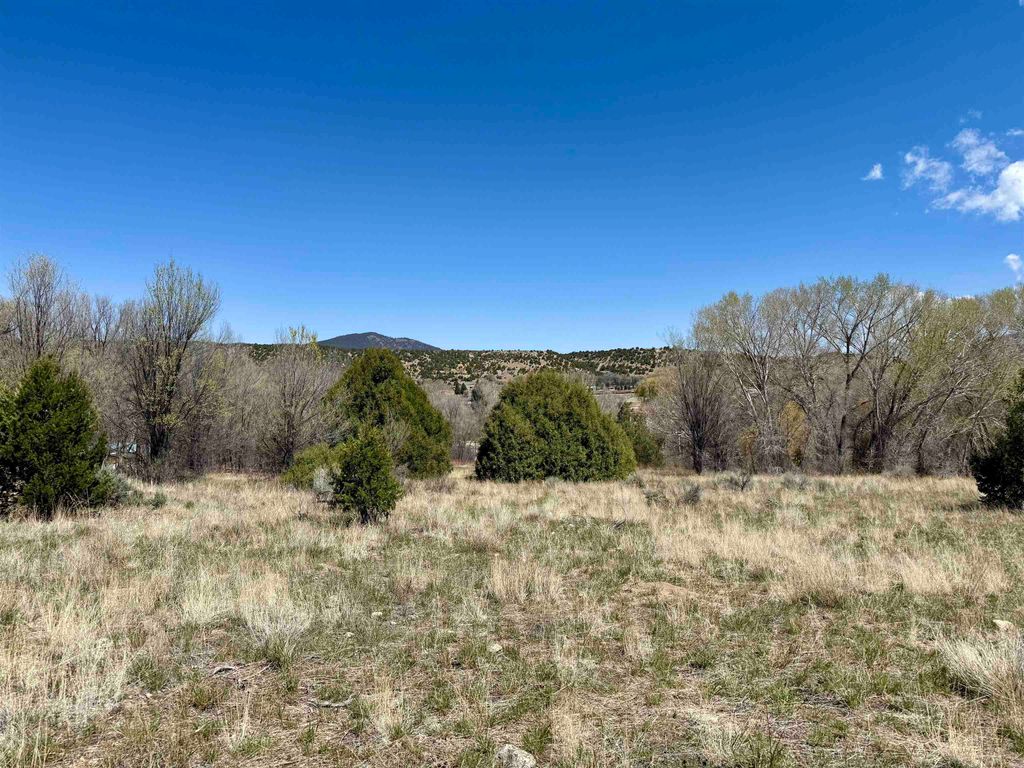 Photo of 5 Acres Tract 47 Old Red River Rd, Questa, NM 87556 (MLS # 113769)