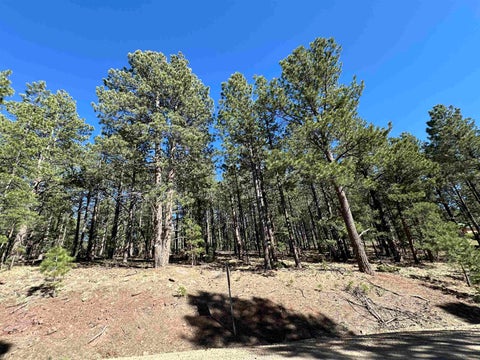 Vacant Land For Sale - Back Basin Road<br/> Colfax County, Angel Fire, NM 87710