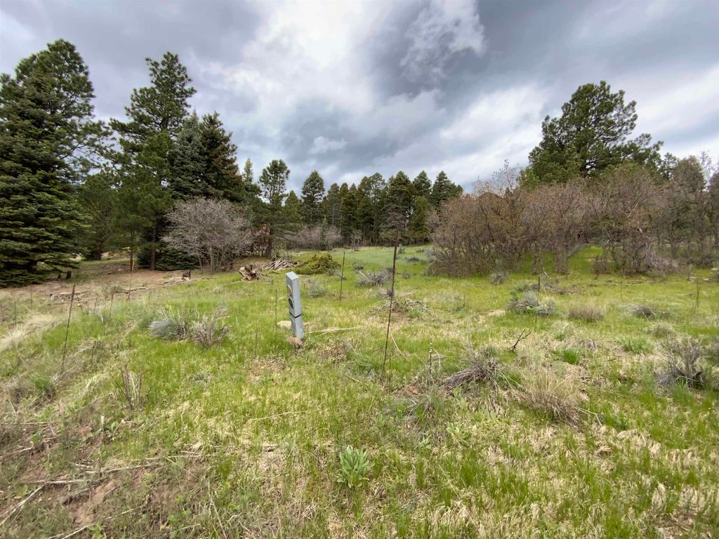Photo of Lot 769 Via Del Rey, Angel Fire, NM 87710 (MLS # 114478)
