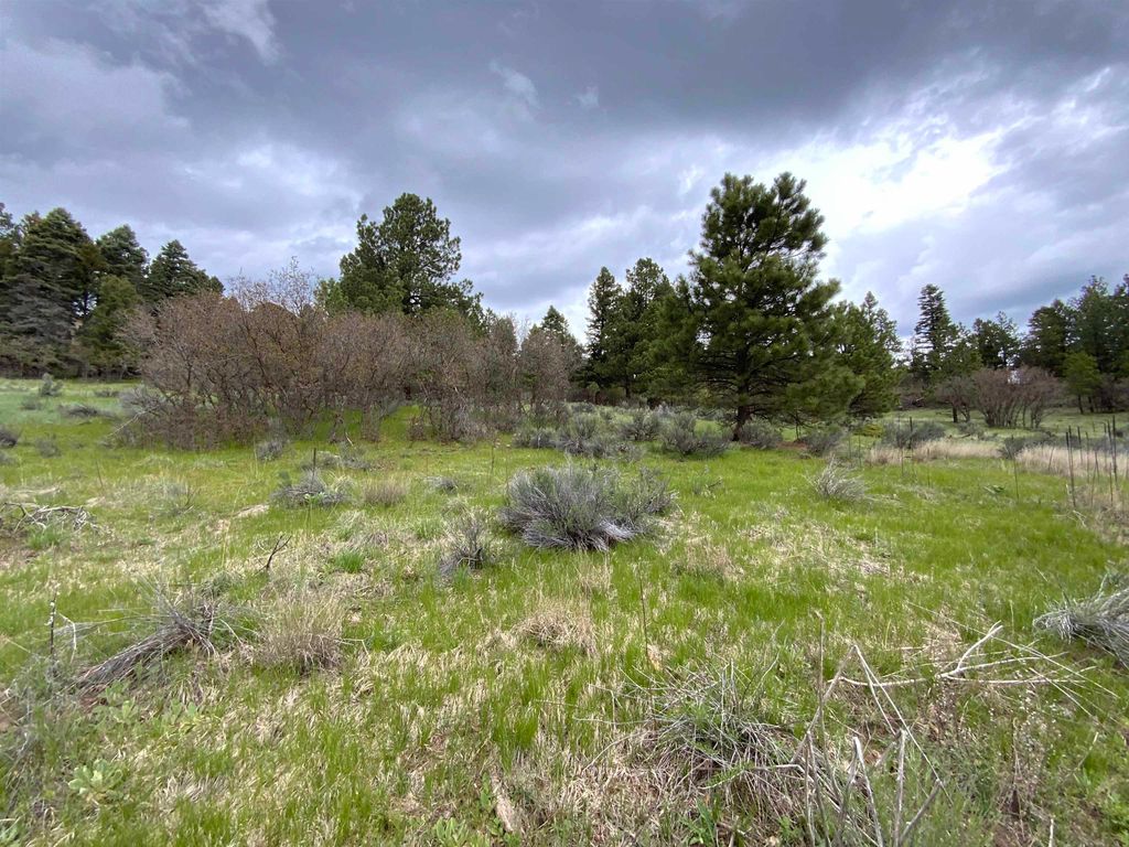 Photo of Lot 769 Via Del Rey, Angel Fire, NM 87710 (MLS # 114478)