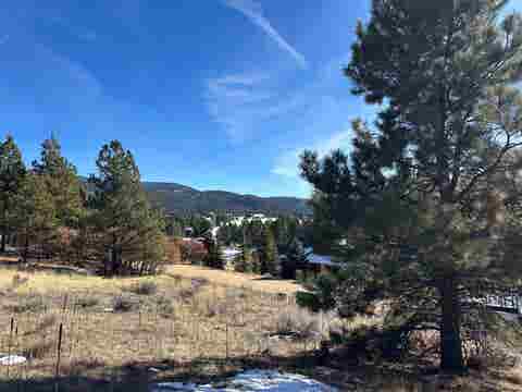 Vacant Land For Sale - LOT 769 Via Del Rey<br/> Angel Fire, NM 87710
