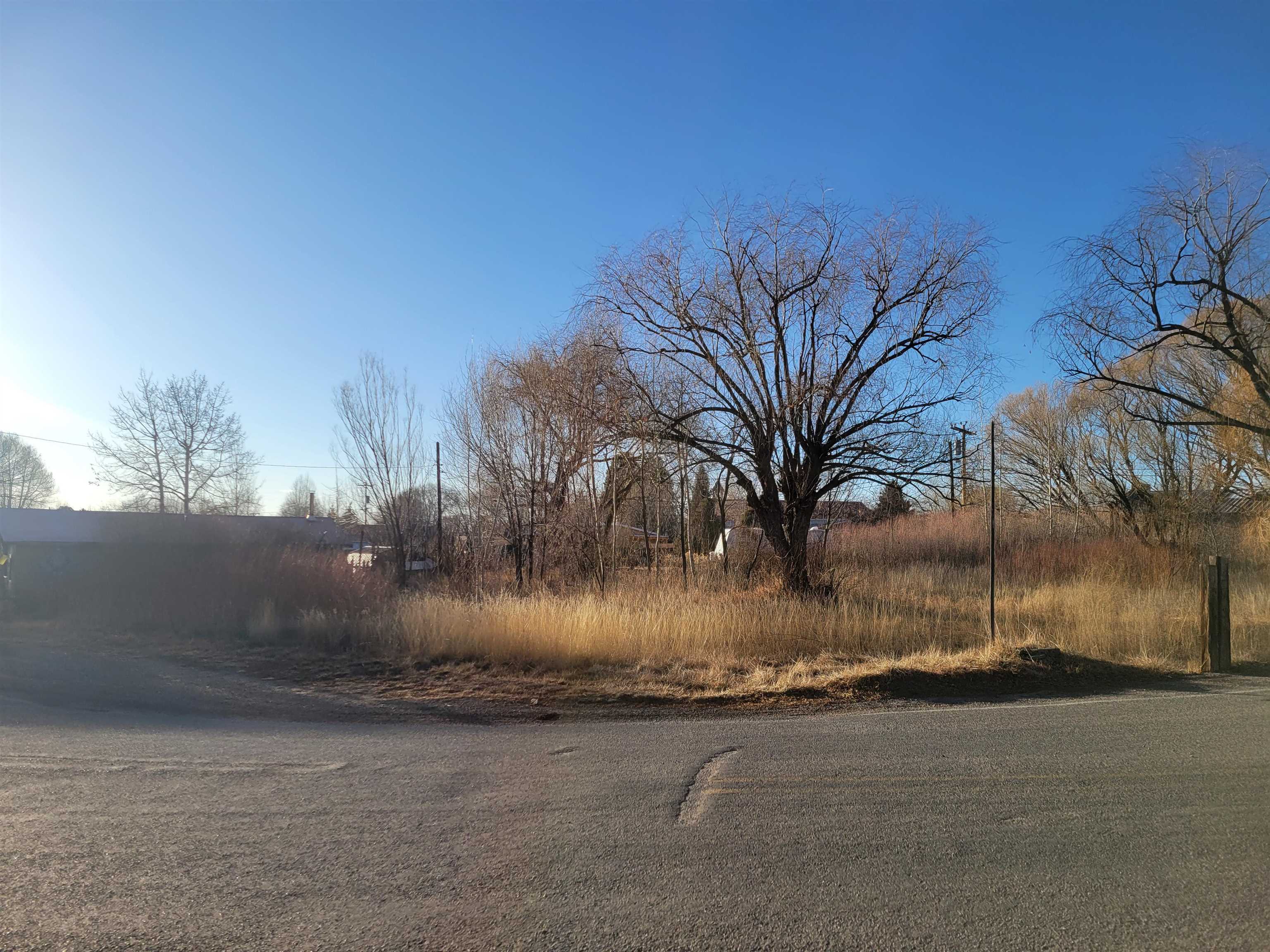 State Highway 150, Arroyo Seco, New Mexico image 8