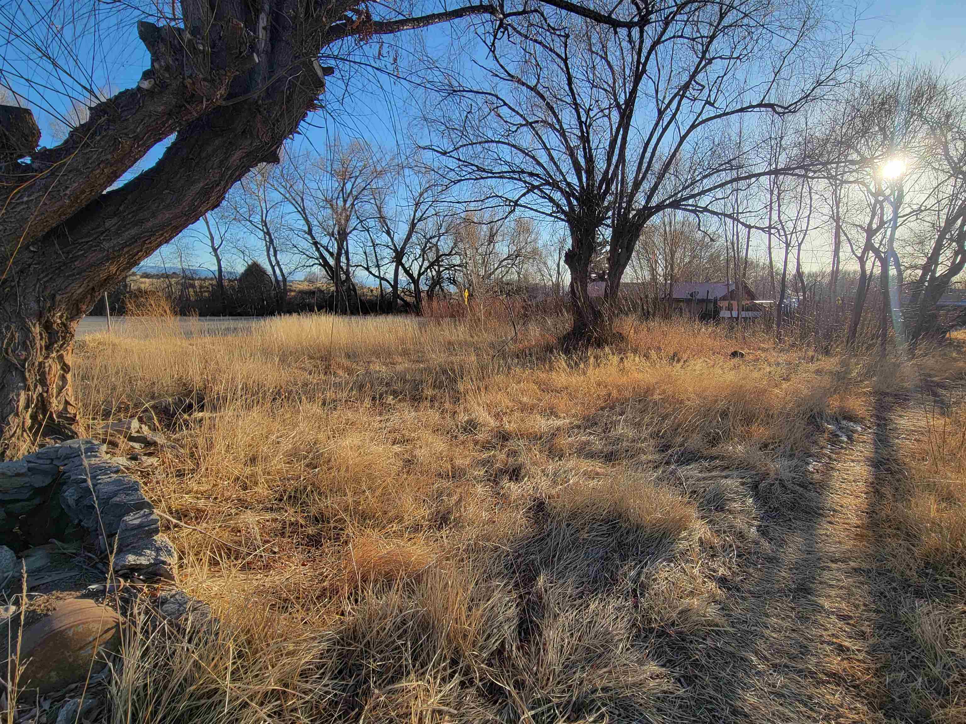 State Highway 150, Arroyo Seco, New Mexico image 10