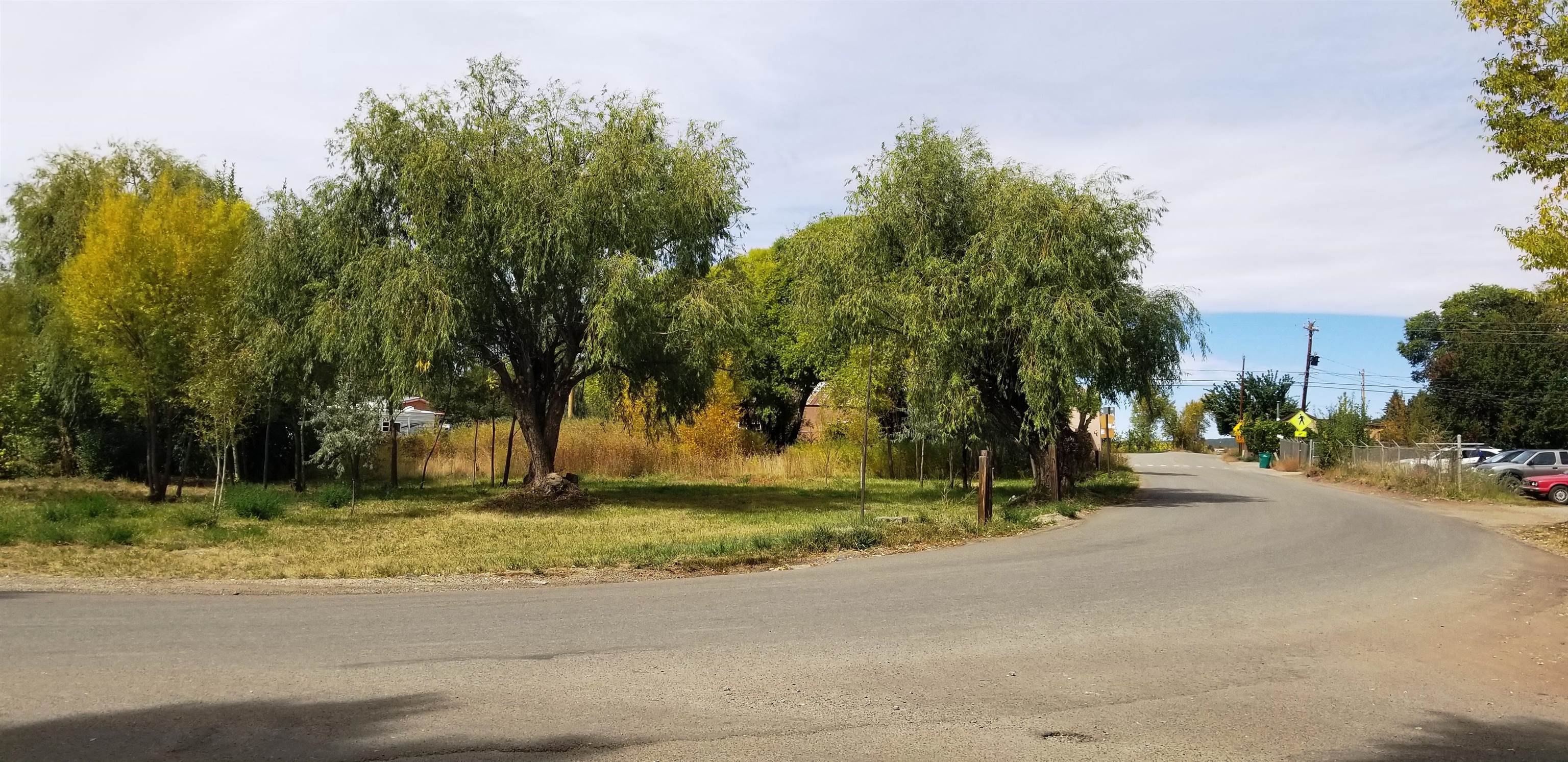 State Highway 150, Arroyo Seco, New Mexico image 5