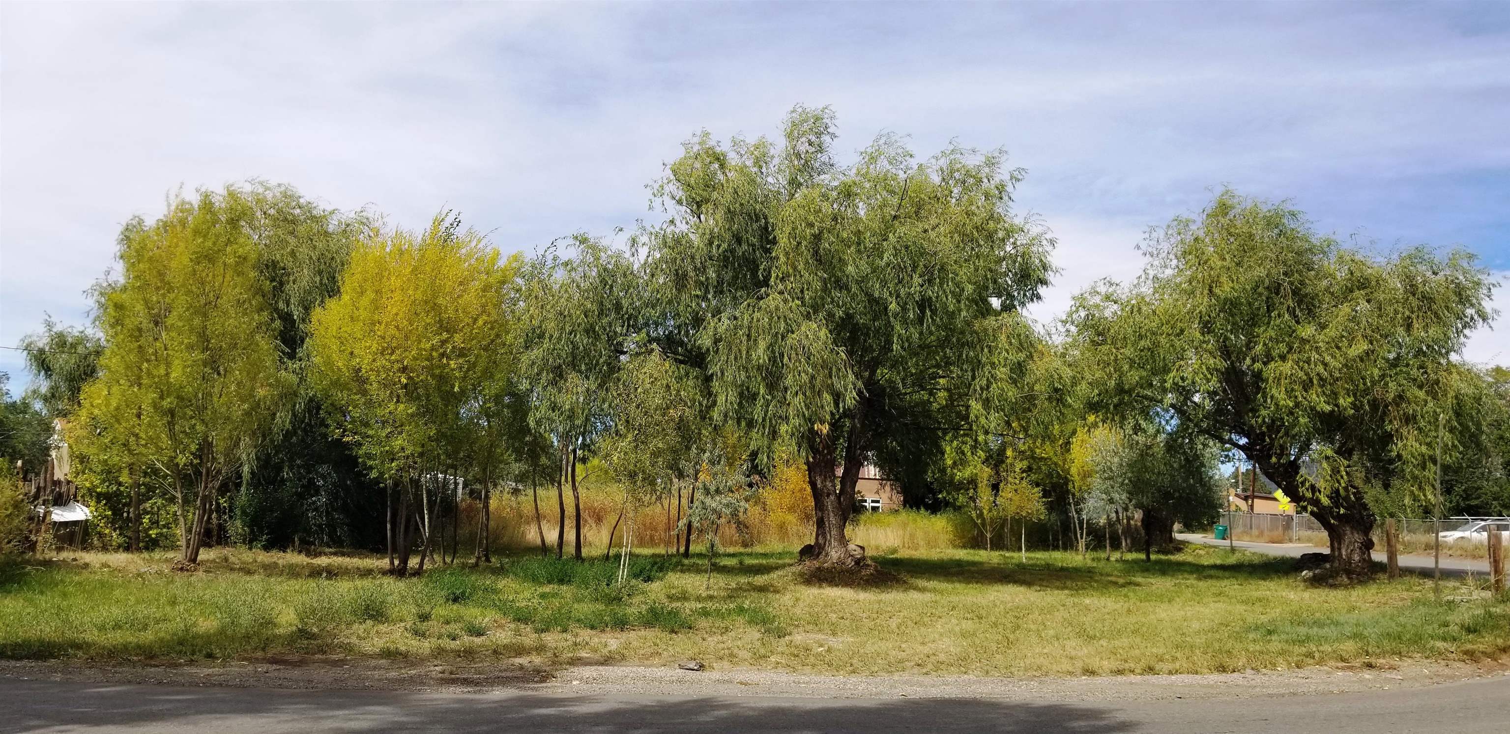 State Highway 150, Arroyo Seco, New Mexico image 1