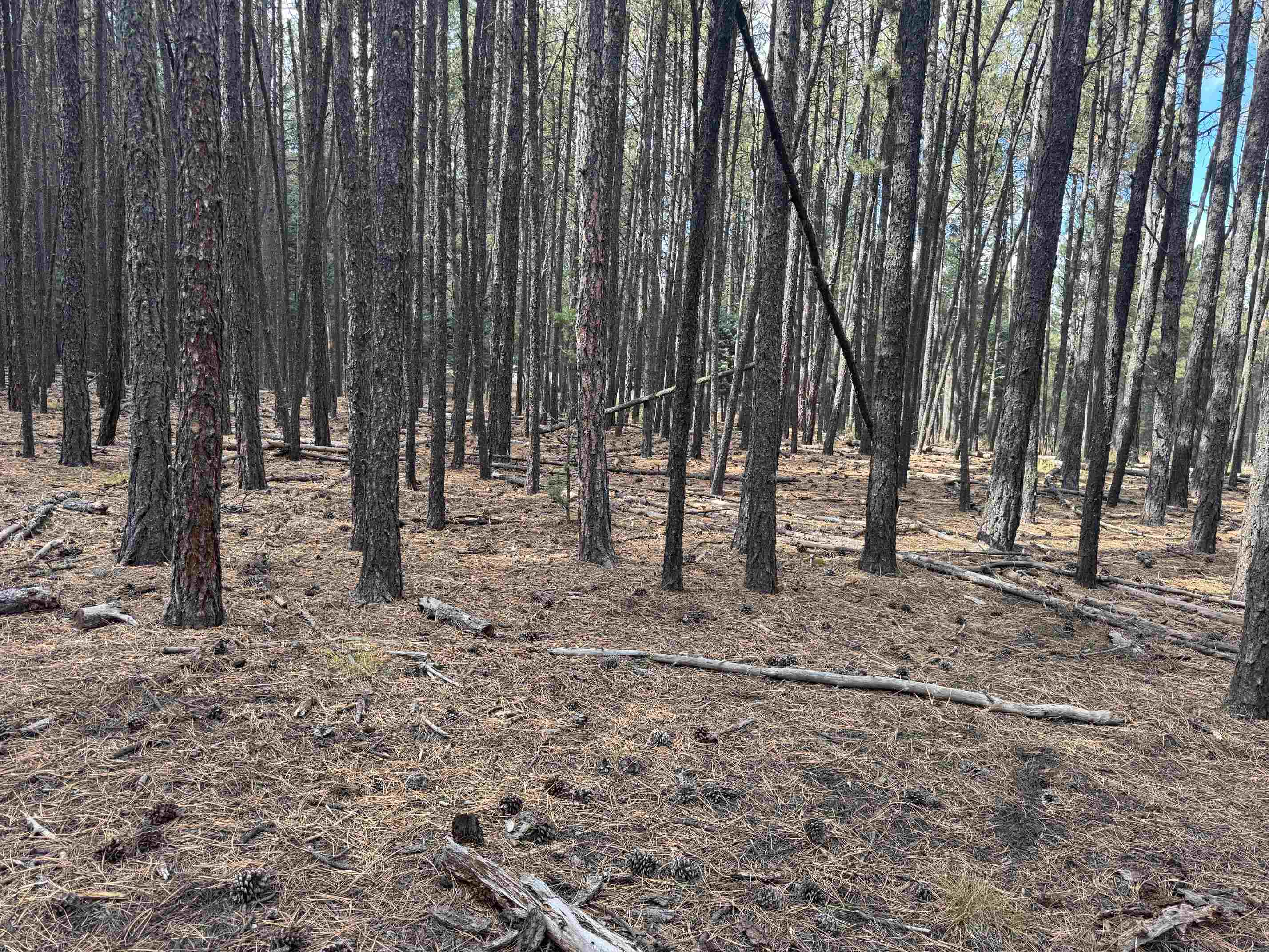 Lot 929 Alamosa Terrace