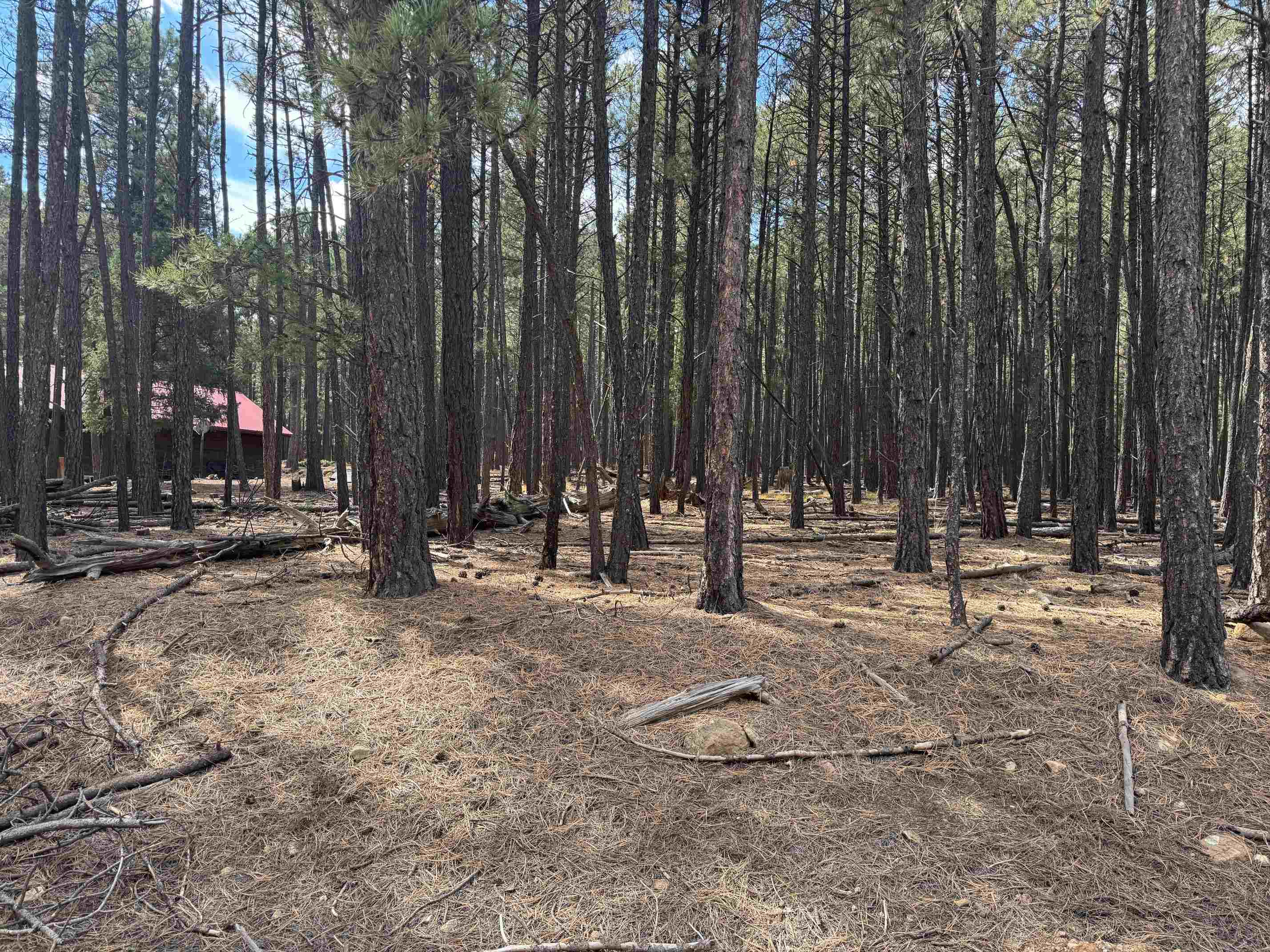 Lot 929 Alamosa Terrace