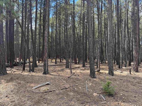 Photo of Lot 929 Alamosa Terrace, Angel Fire, NM 87710 (MLS # 114112)