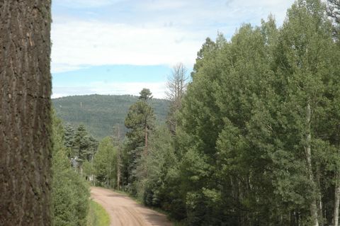 Photo of 1568 luna Drive, Angel Fire, NM 87710 (MLS # 109257)