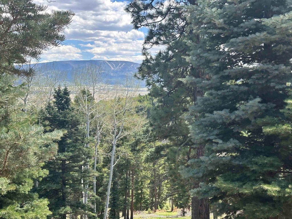 Photo of Lot 91AB Pam Coleman Drive, Angel Fire, NM 87710 (MLS # 111756)