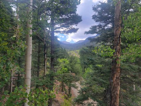 15 Coyote Lane Taos Ski Valley NM 87525