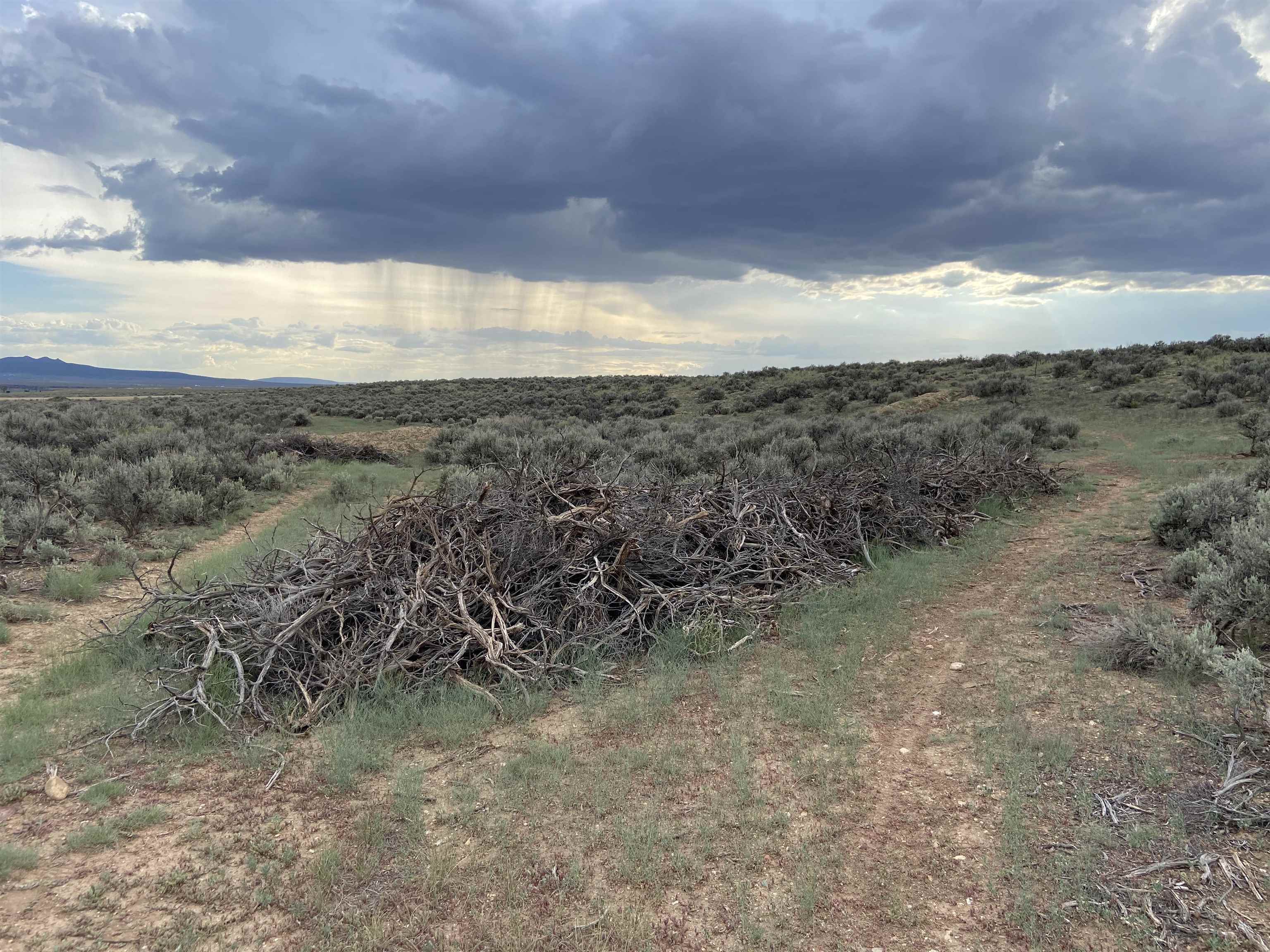 TBD Lot 3 Tune Drive, El Prado, New Mexico image 16