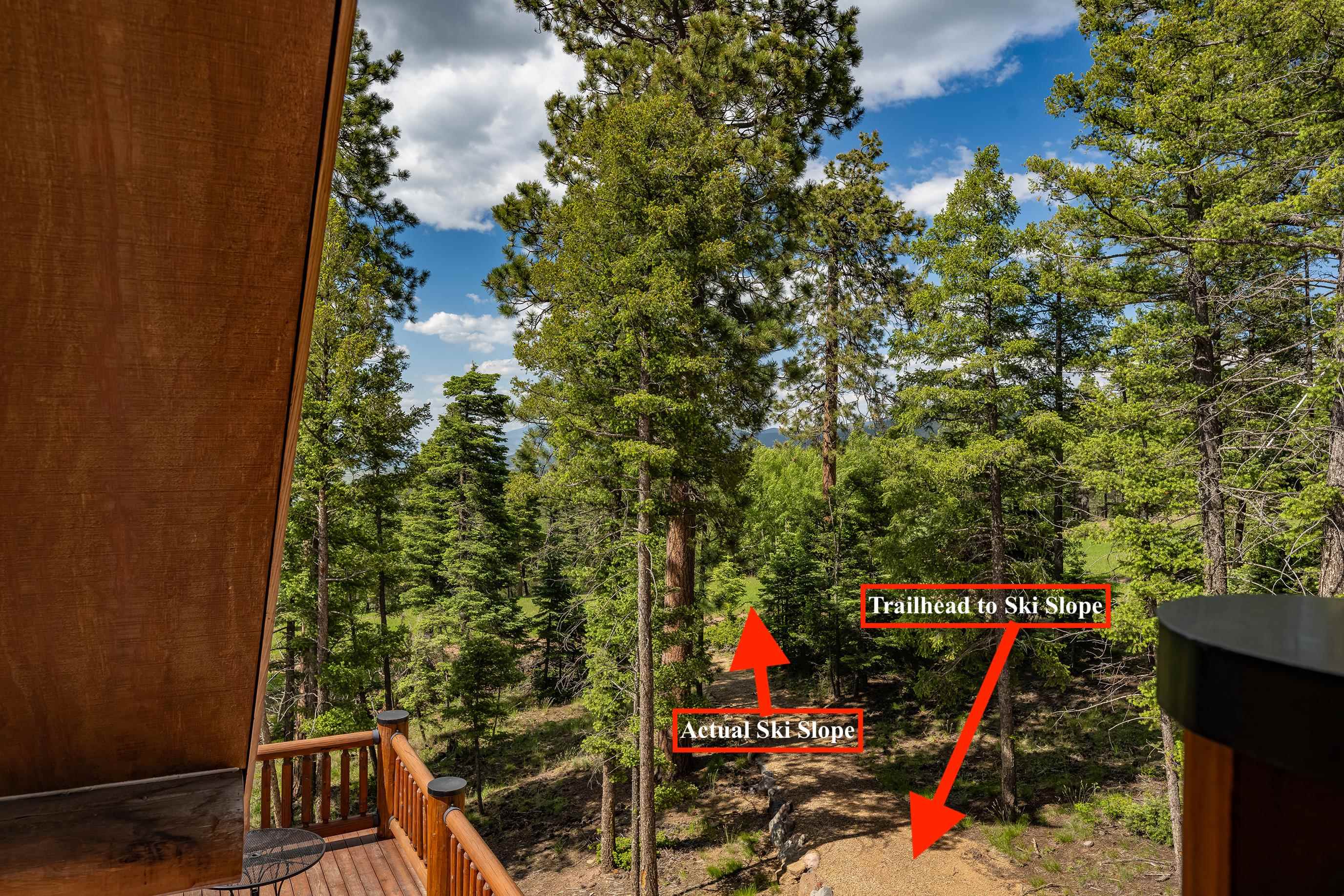 181 El Camino Real Real, Angel Fire, New Mexico image 6