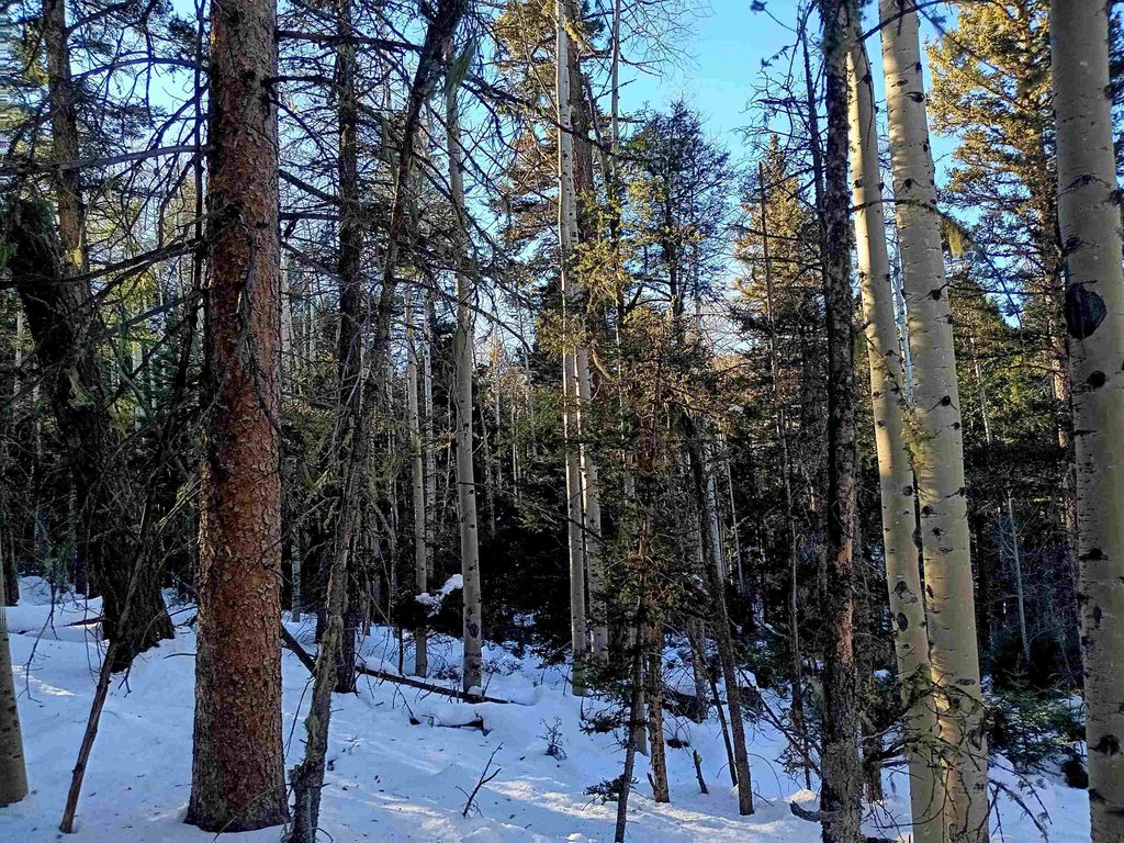 Photo of Lot 722 Santo Domingo Trail, Angel Fire, NM 87710 (MLS # 112570)