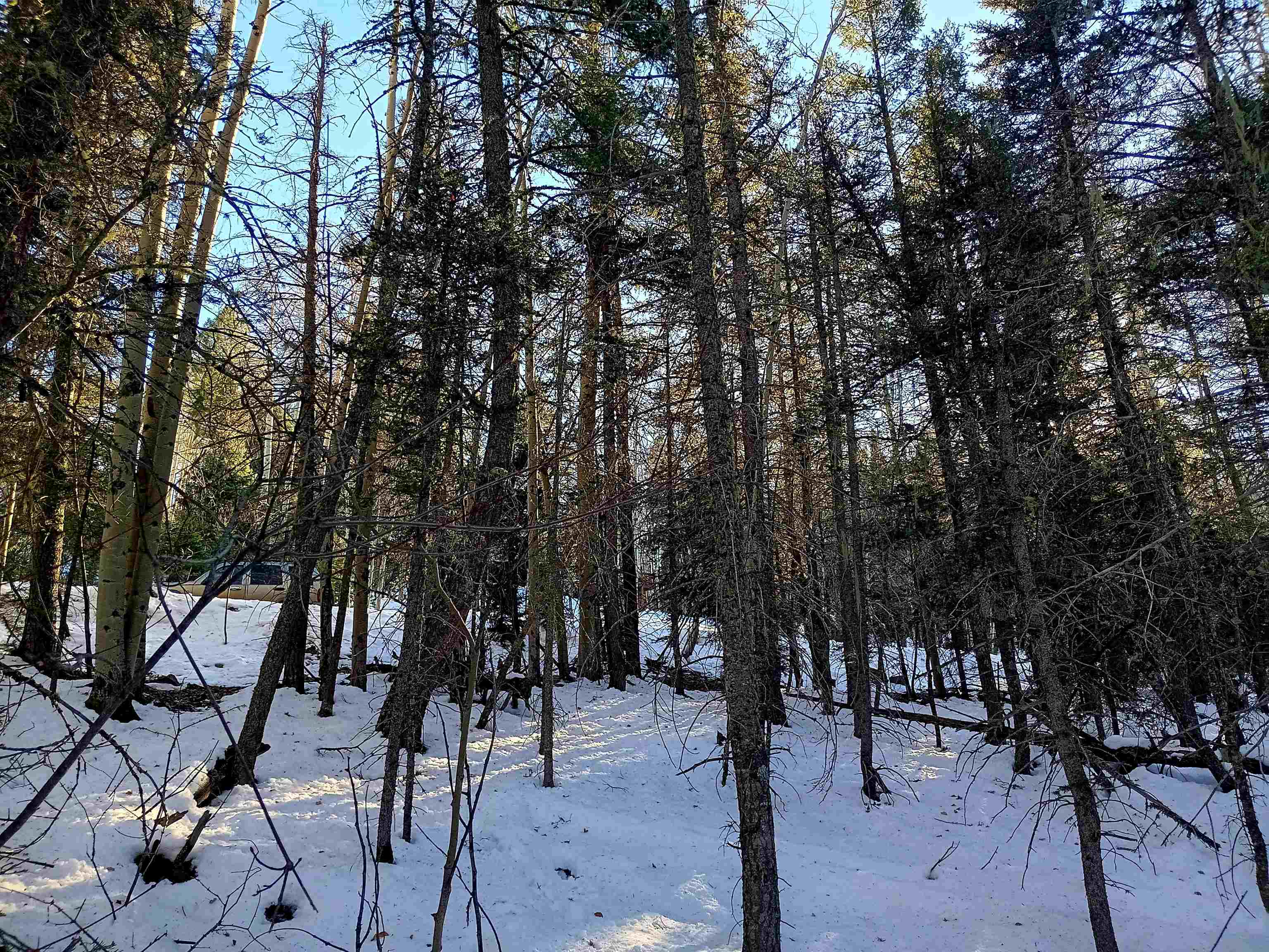 Lot 722 Santo Domingo Trail, Angel Fire, New Mexico image 6