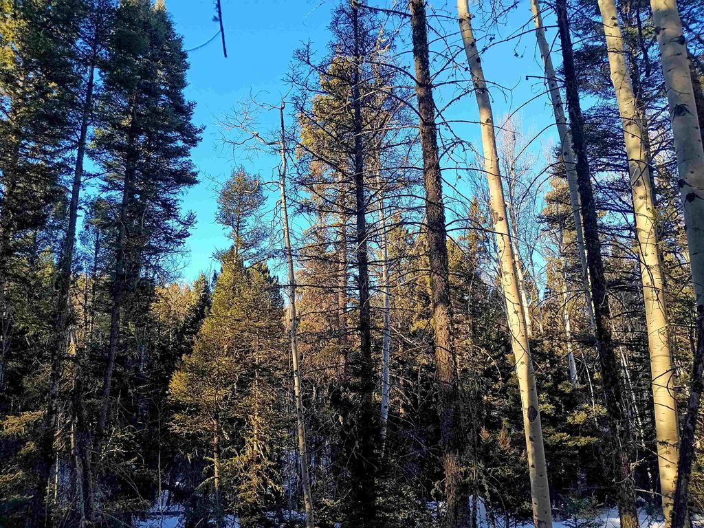 Photo of Lot 722 Santo Domingo Trail, Angel Fire, NM 87710 (MLS # 112570)