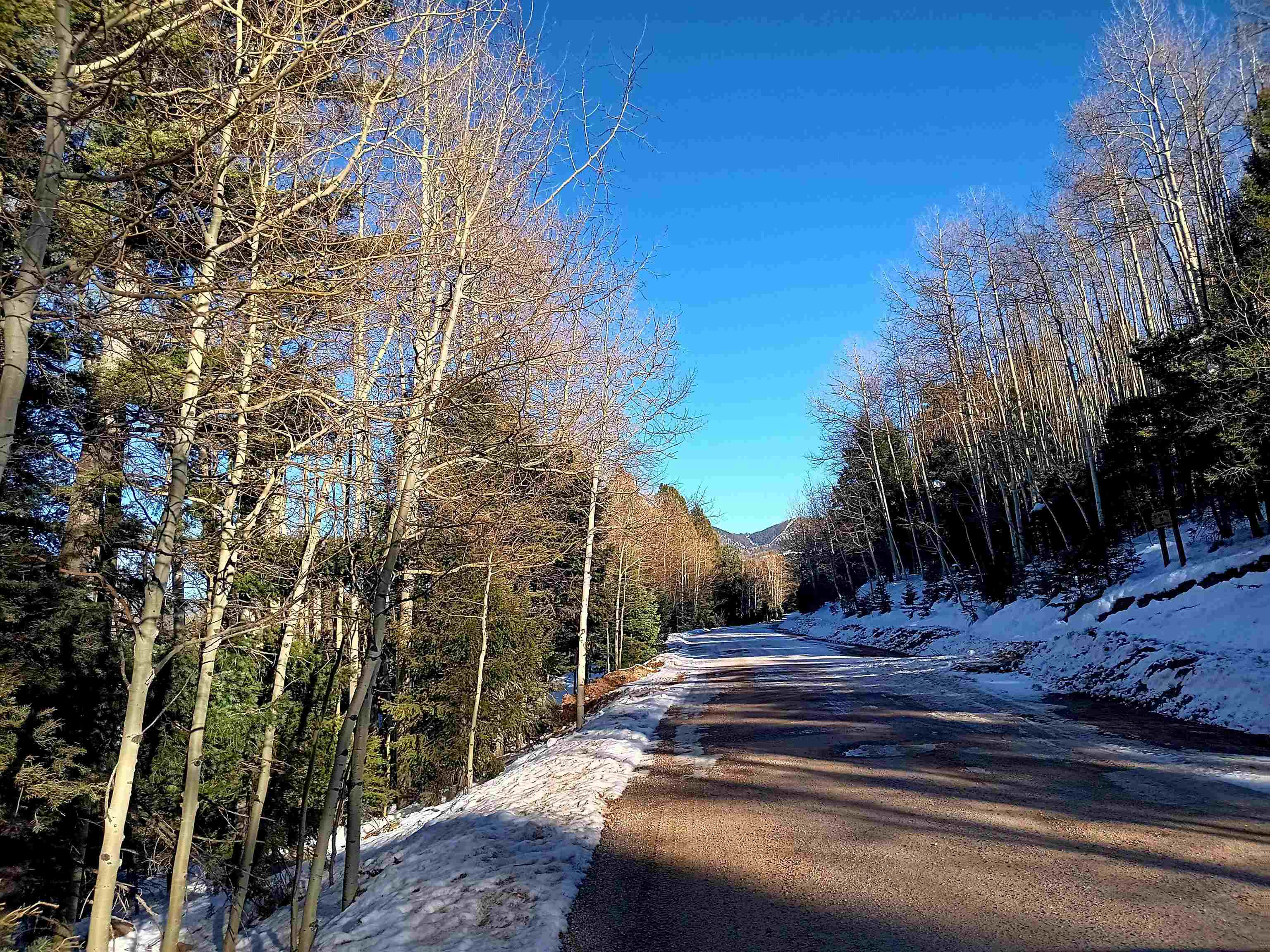 Lot 722 Santo Domingo Trail, Angel Fire, New Mexico image 8