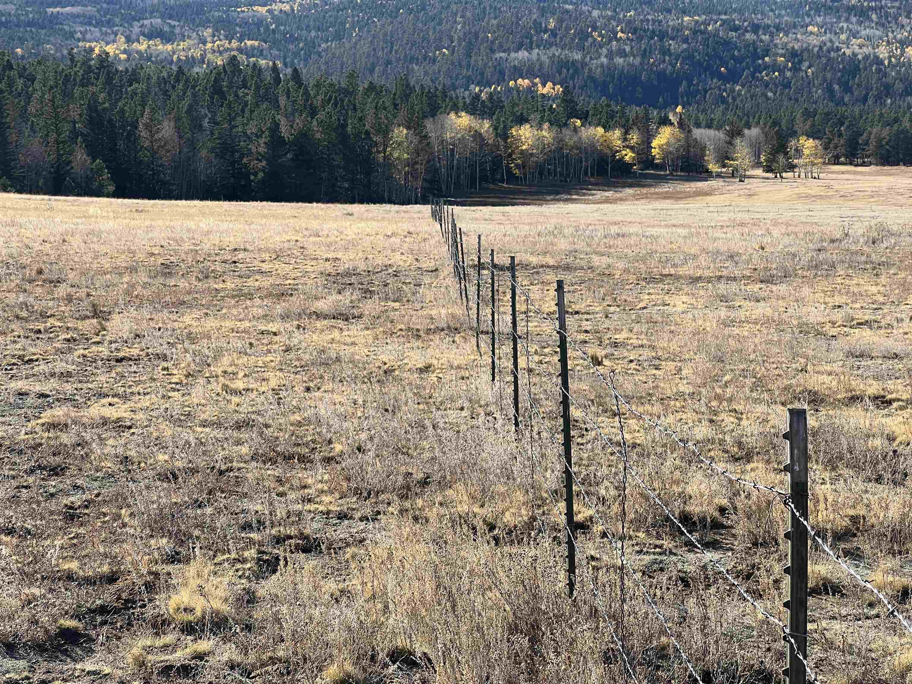 Lot 18 Laguna Negra Circle, Angel Fire, New Mexico image 5