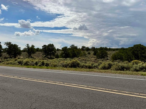 Vacant Land For Sale - 20 Acres Highway 285<br/> Taos County, Carson, NM 87577