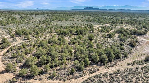 Vacant Land For Sale - 20 Acres Highway 285<br/> Carson, NM 87577