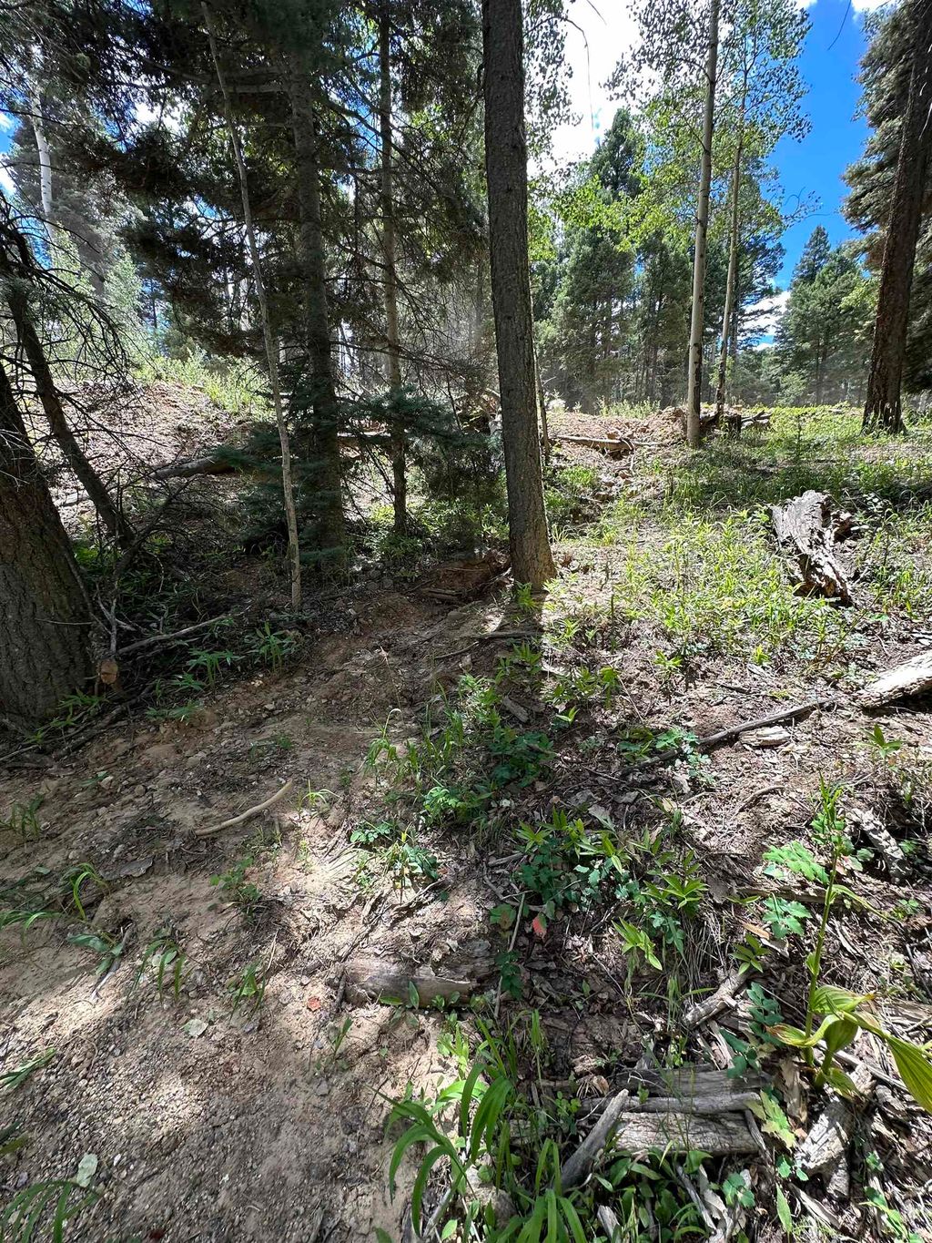 Photo of Lot 1433 Calle De Los Caballeros, Angel Fire, NM 87710 (MLS # 112837)
