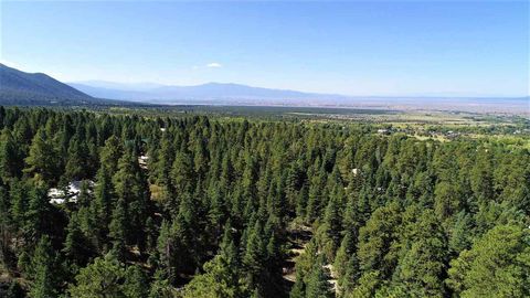 53 Paw A Suki Arroyo Seco NM 87514