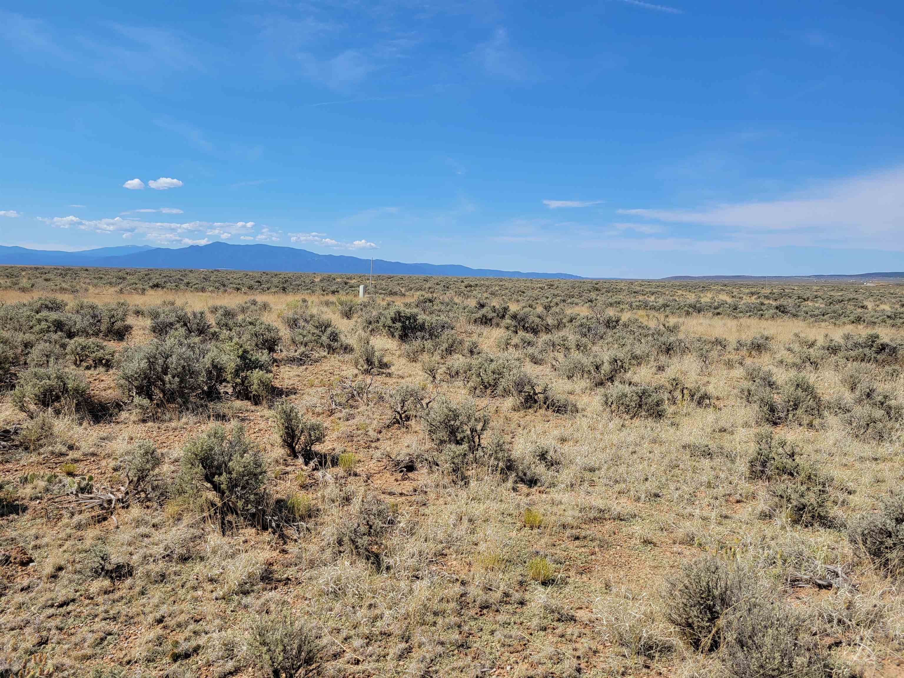 Lot 2 Calle Feliberto, El Prado, New Mexico image 10