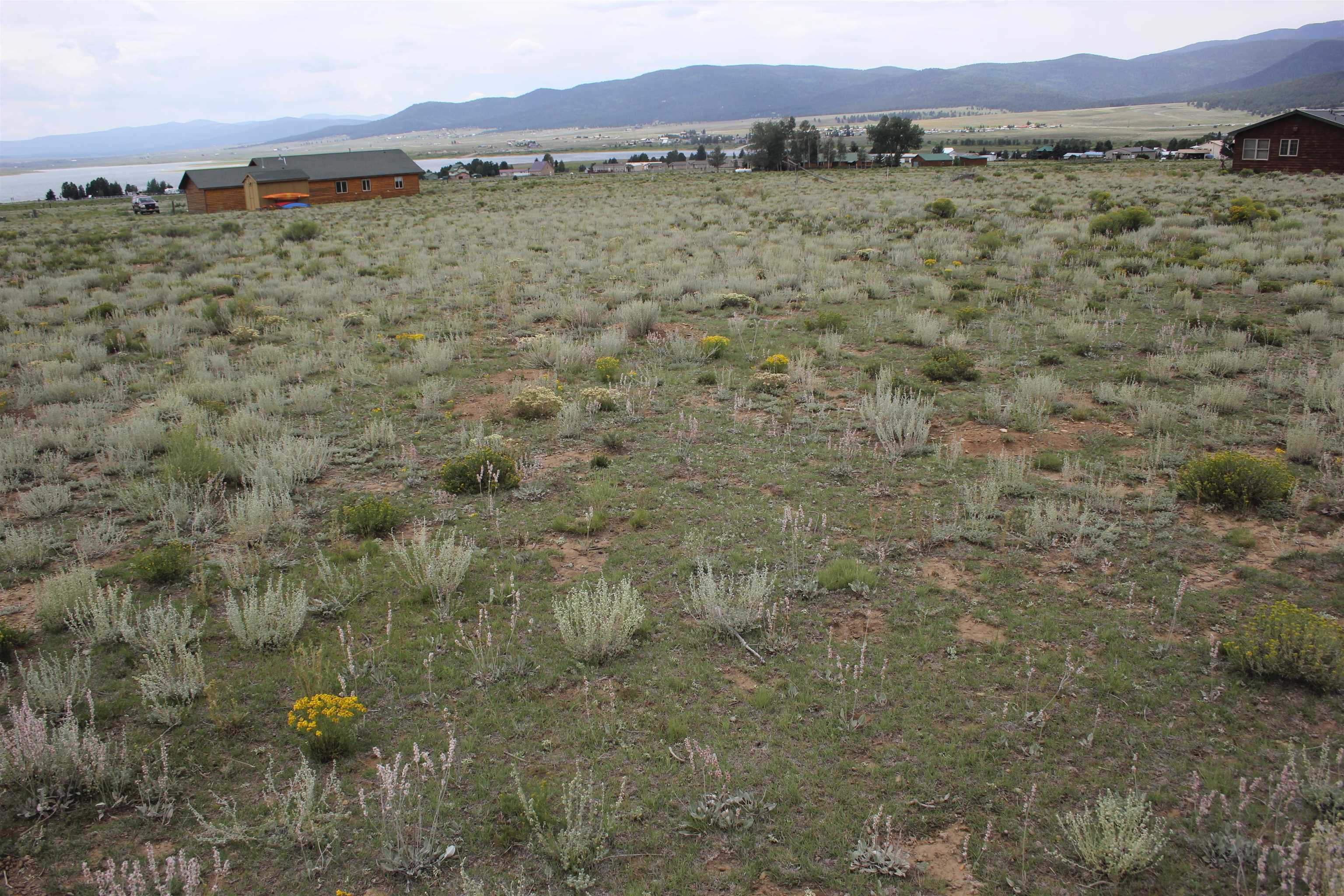 TBD Koala Court, Eagle Nest, New Mexico image 4