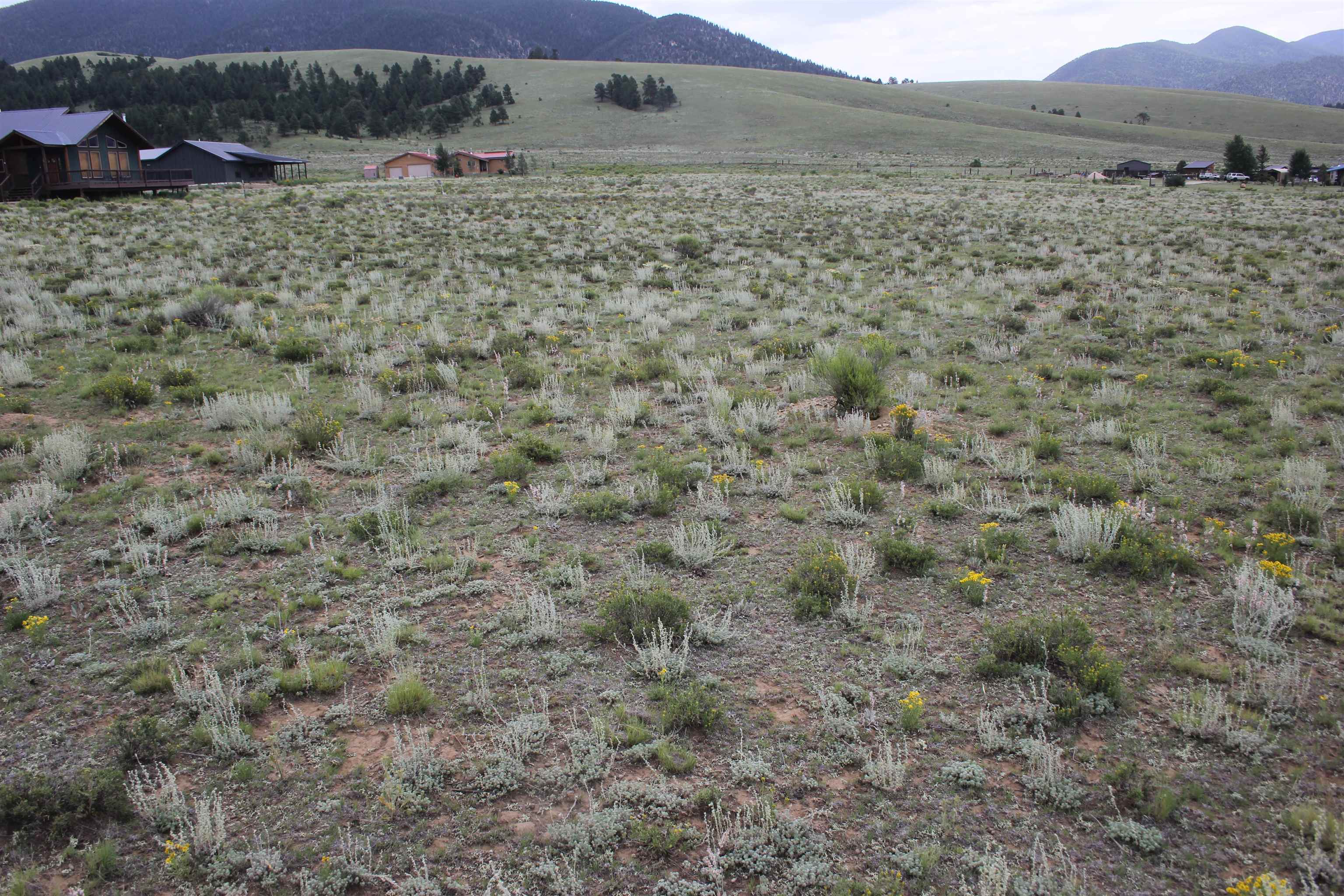 TBD Koala Court, Eagle Nest, New Mexico image 5