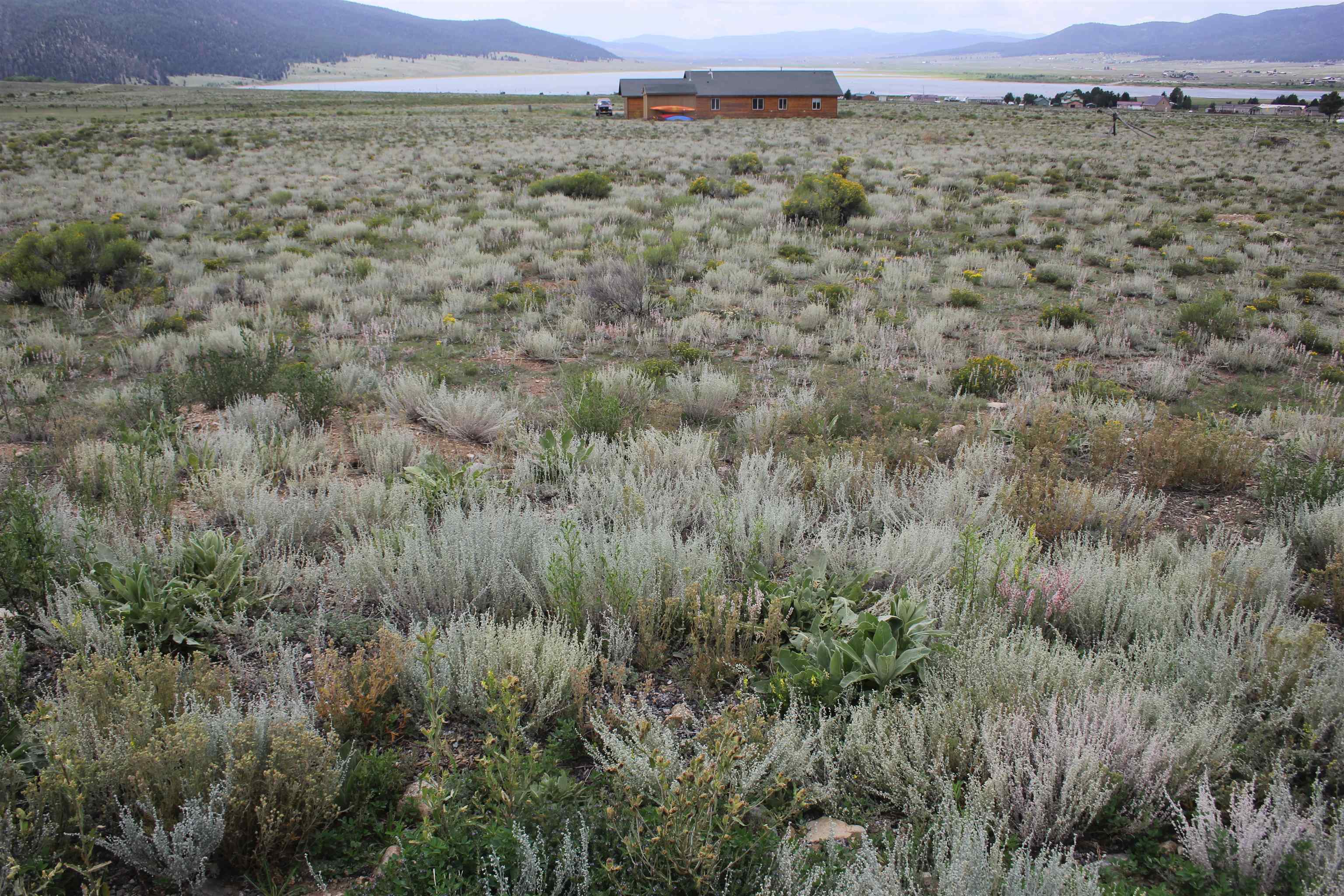 TBD Koala Court, Eagle Nest, New Mexico image 3