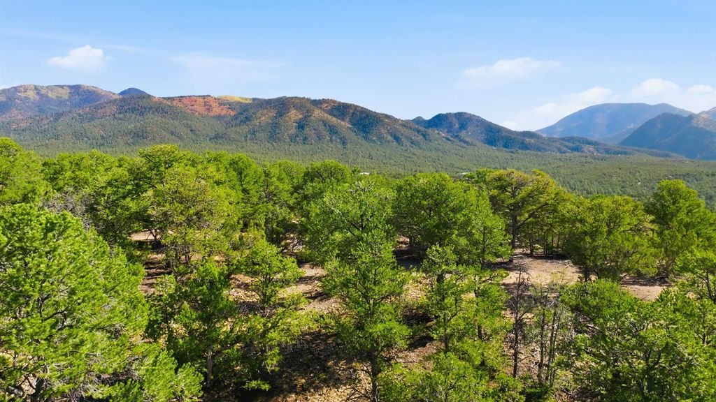 Photo of Lot 10 Deer Mesa Road, Valdez, NM 87571 (MLS # 114567)