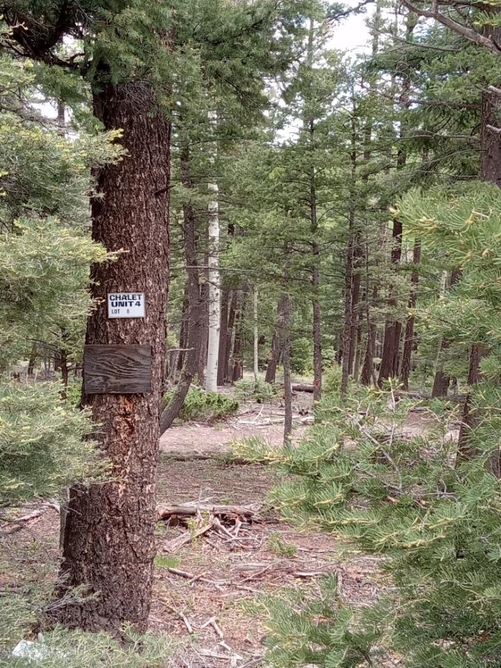 Lot 8 Back Basin, Angel Fire, New Mexico image 1
