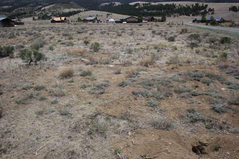 Vacant Land For Sale - TBD Smokey Bear Dr<br/> Eagle Nest, NM 87718
