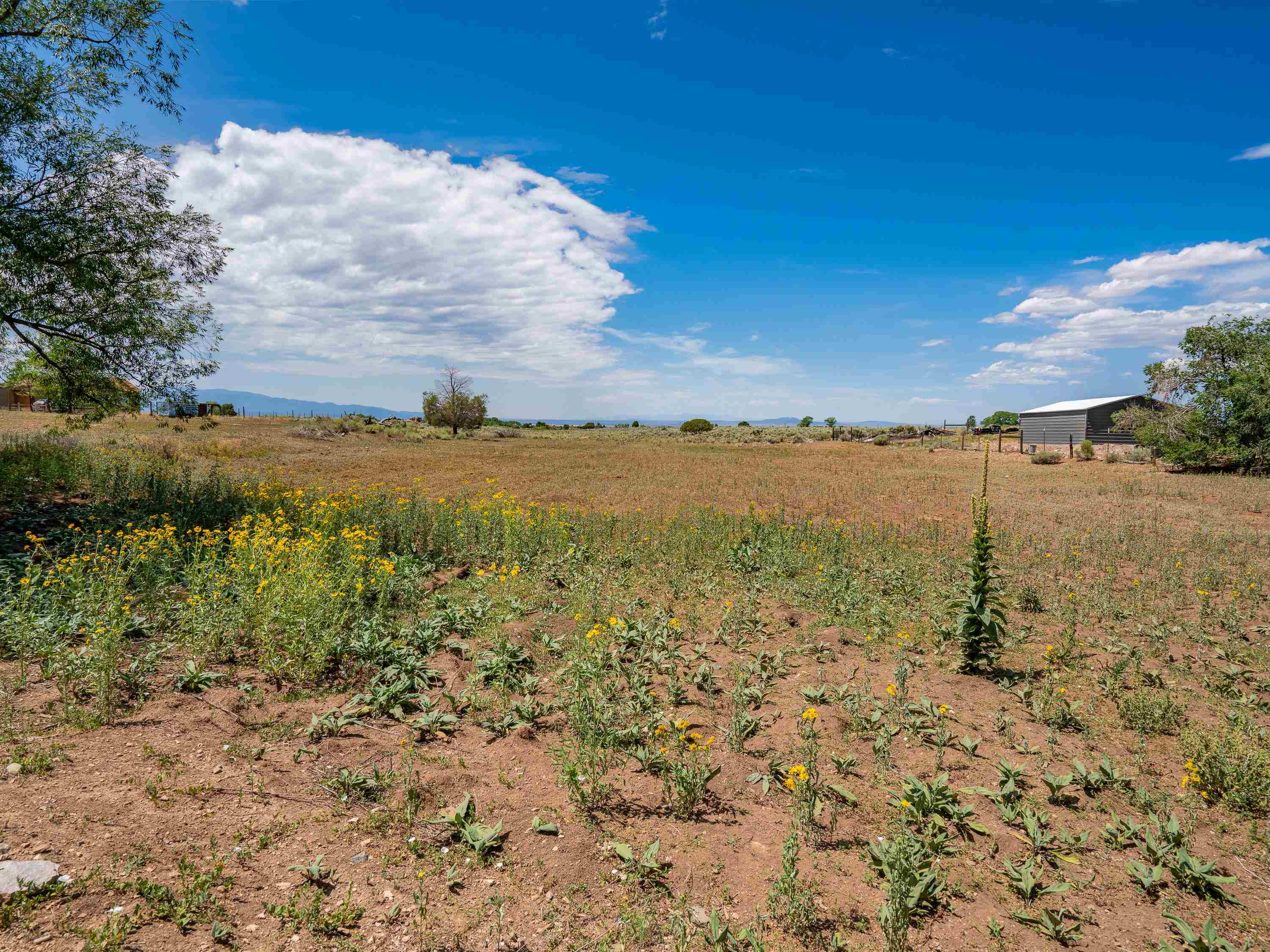 TBD Shana Madre, Arroyo Seco, New Mexico image 25