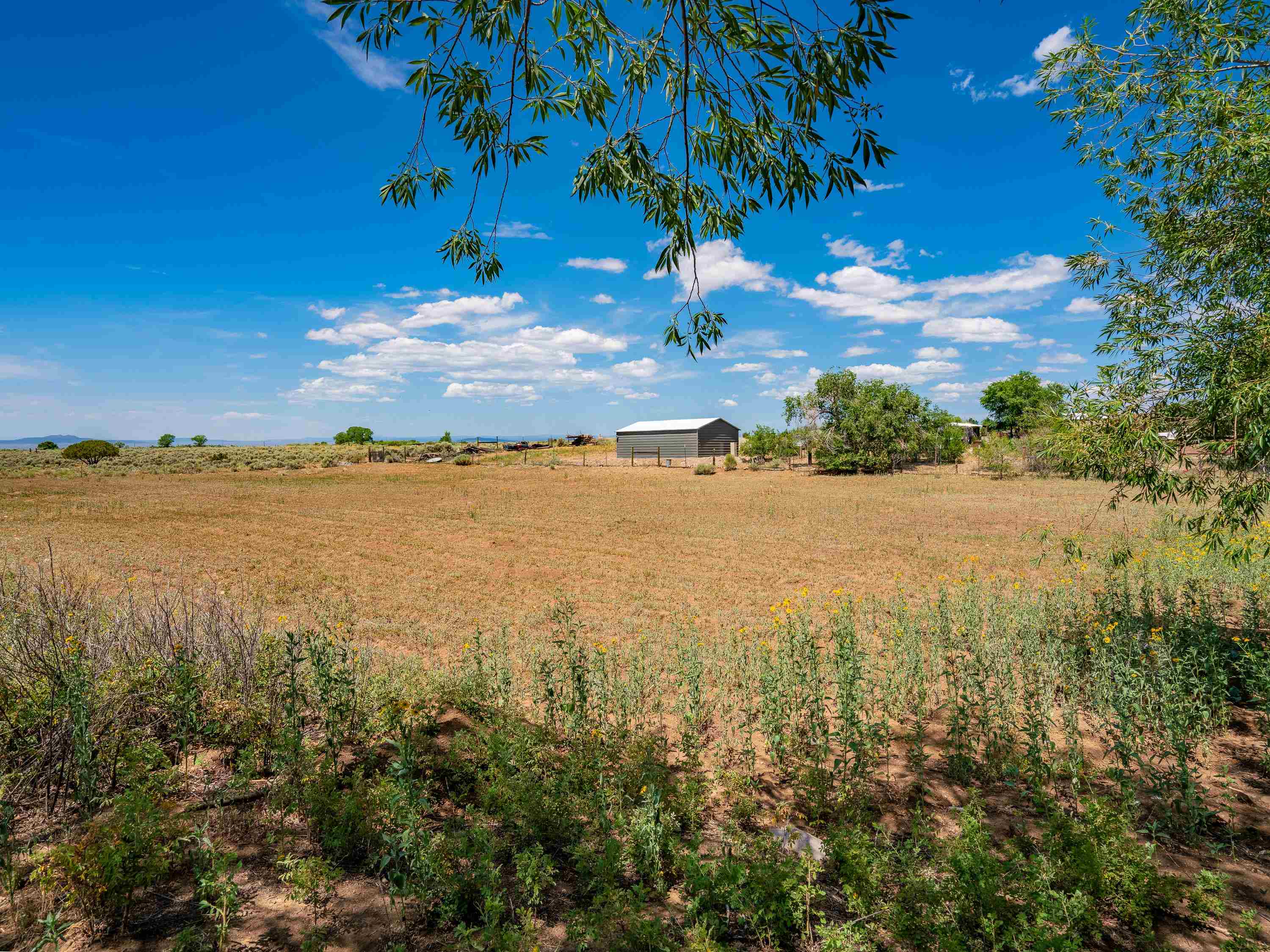 TBD Shana Madre, Arroyo Seco, New Mexico image 24