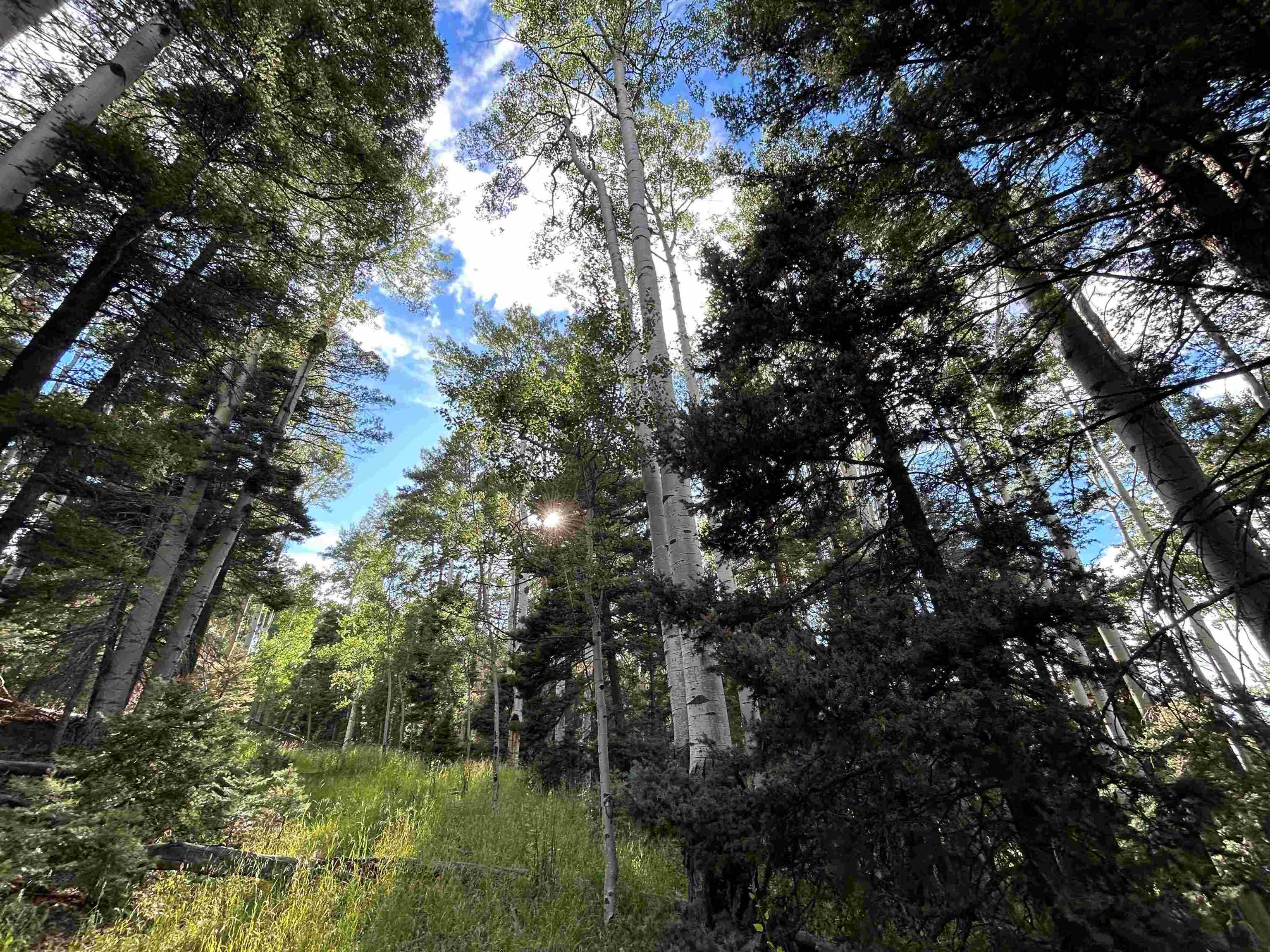 2 Back Basin Road, Angel Fire, New Mexico image 8