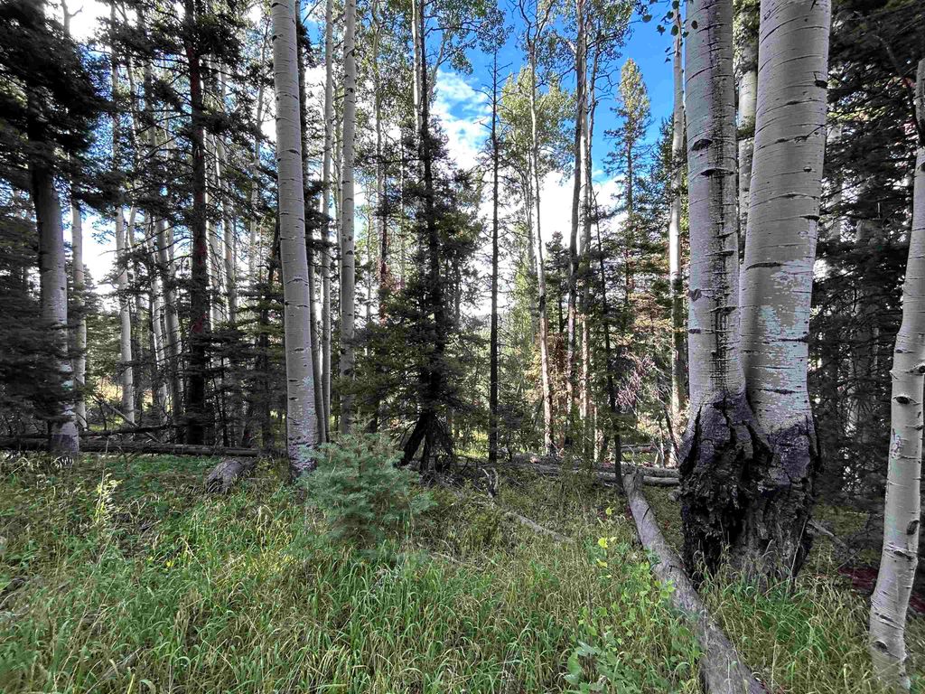Photo of 2 Back Basin Road, Angel Fire, NM 87710 (MLS # 112670)