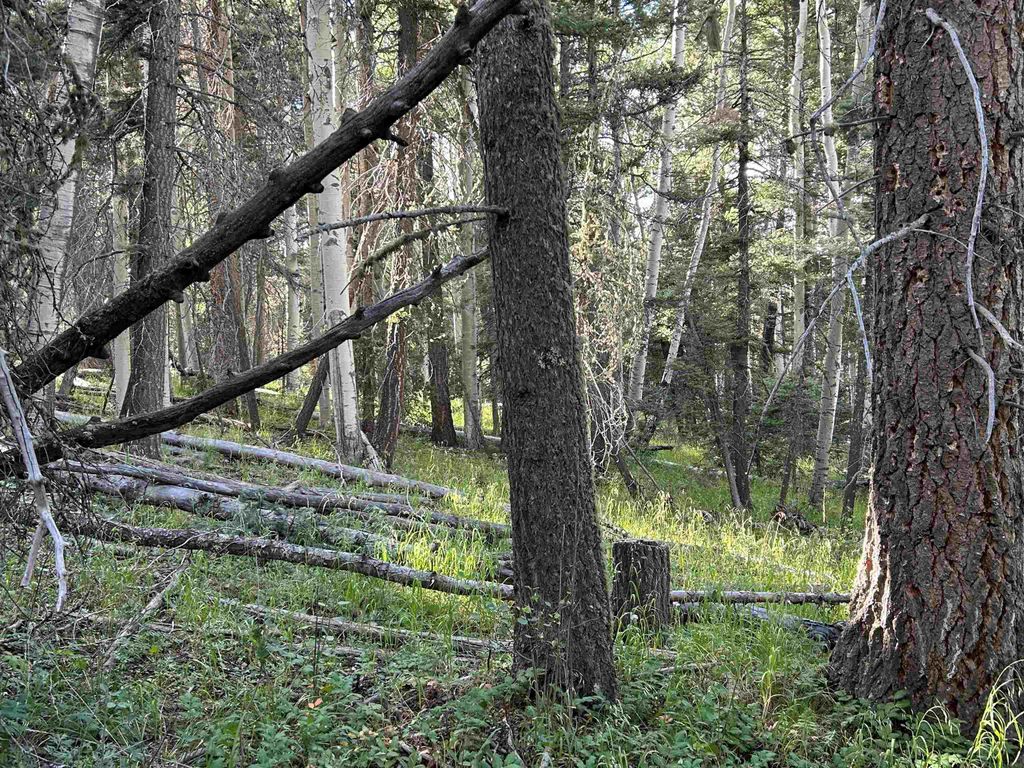 Photo of 2 Back Basin Road, Angel Fire, NM 87710 (MLS # 112670)