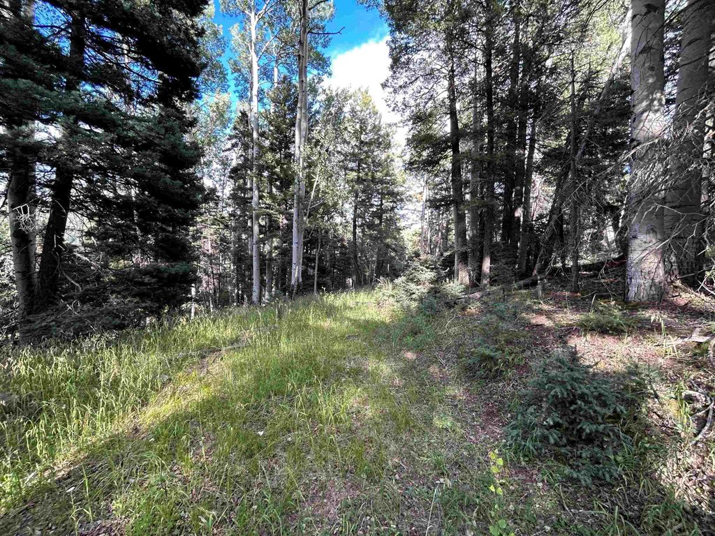 Photo of 2 Back Basin Road, Angel Fire, NM 87710 (MLS # 112670)