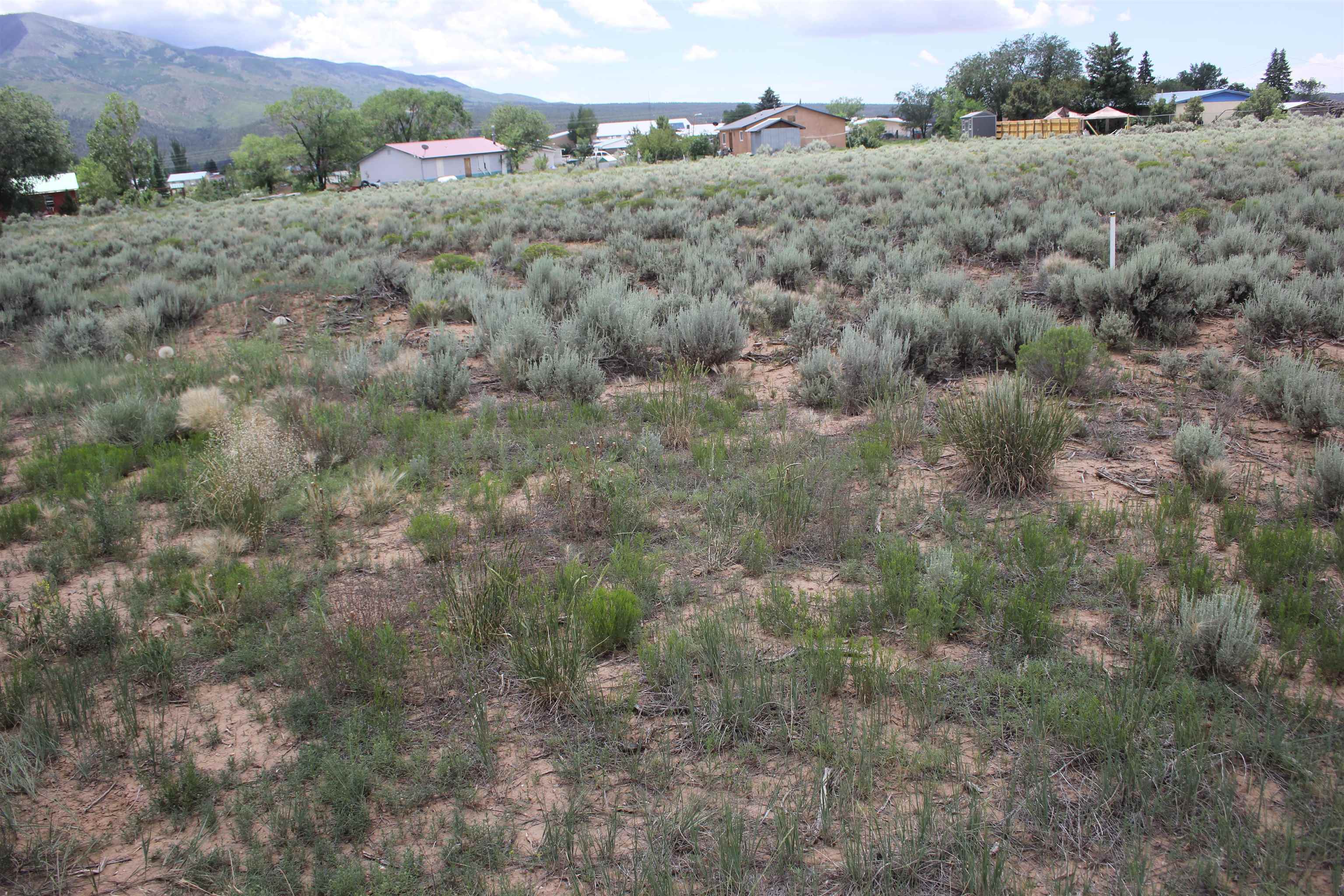 Lots 5 And 6 Shirley Drive, Questa, New Mexico image 1