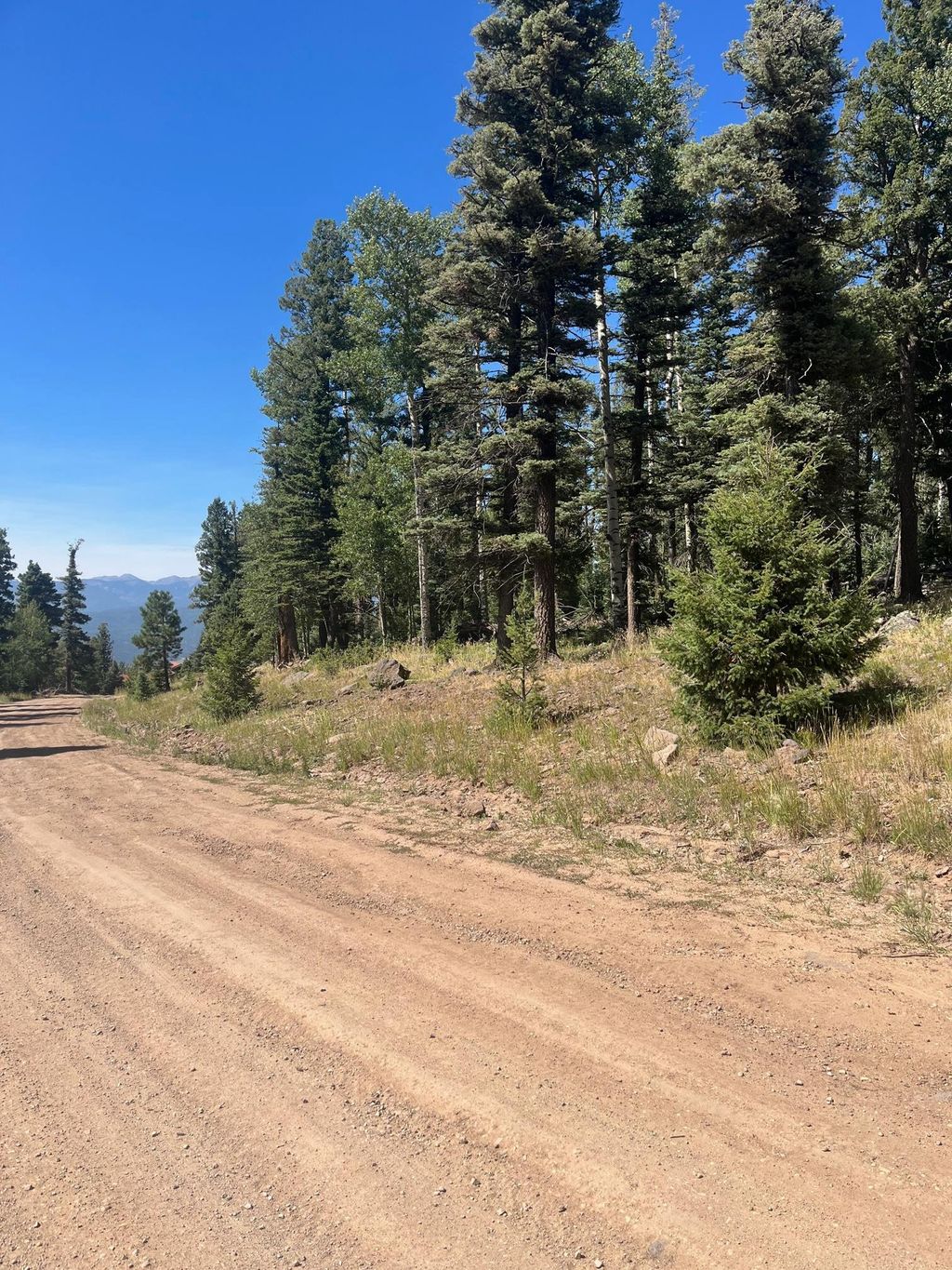 Photo of lot 1246 El Camino Real, Angel Fire, NM 87710 (MLS # 110705)