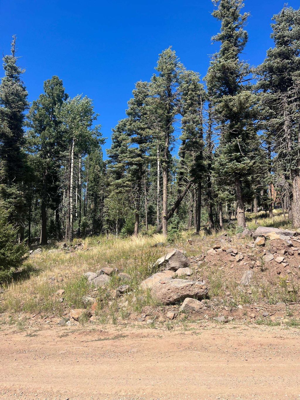 Photo of lot 1246 El Camino Real, Angel Fire, NM 87710 (MLS # 110705)