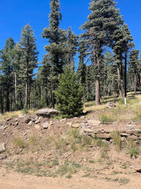 Photo of lot 1246 El Camino Real, Angel Fire, NM 87710 (MLS # 110705)