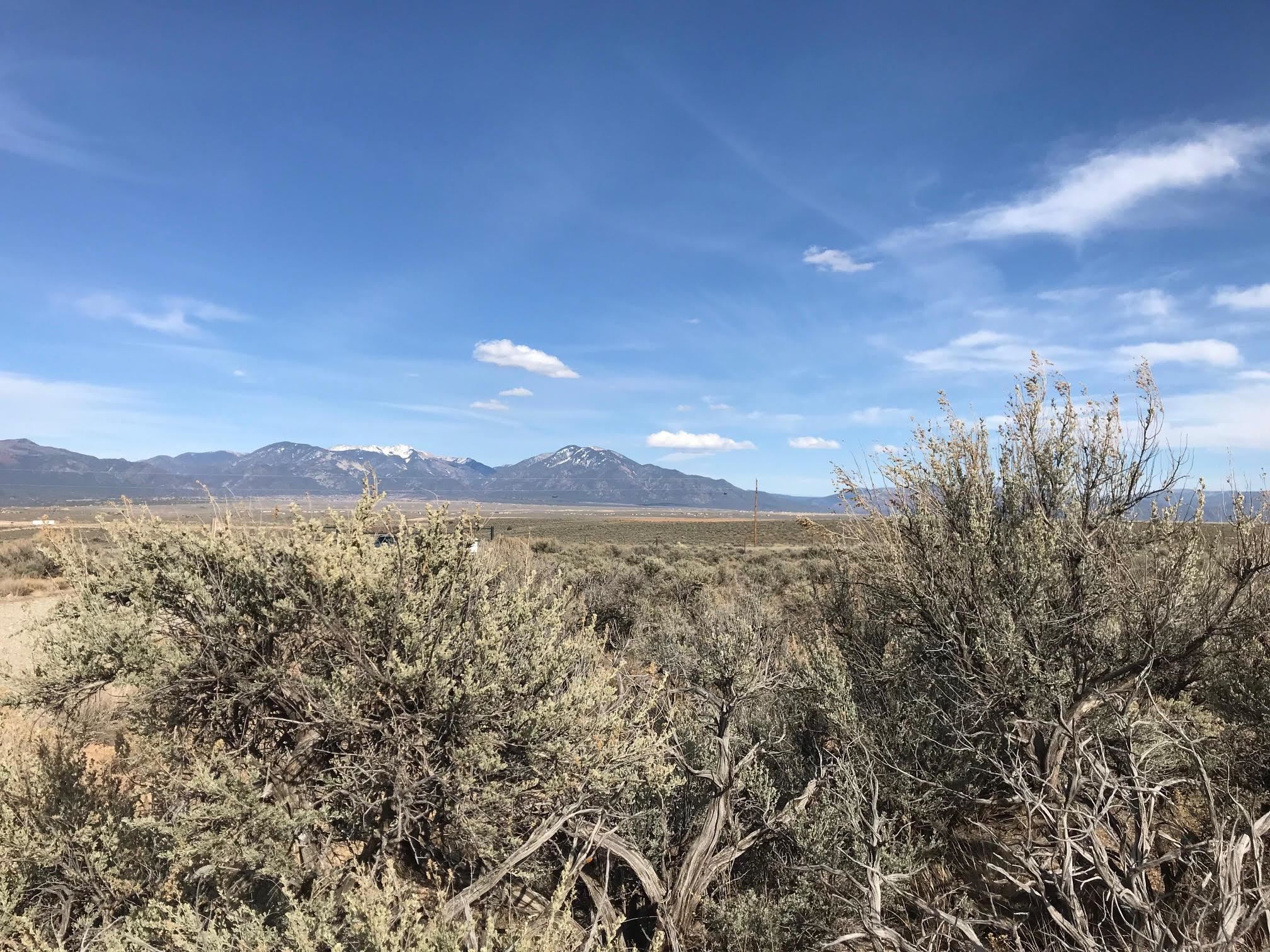 24124 State Hwy 64, Taos, New Mexico image 5