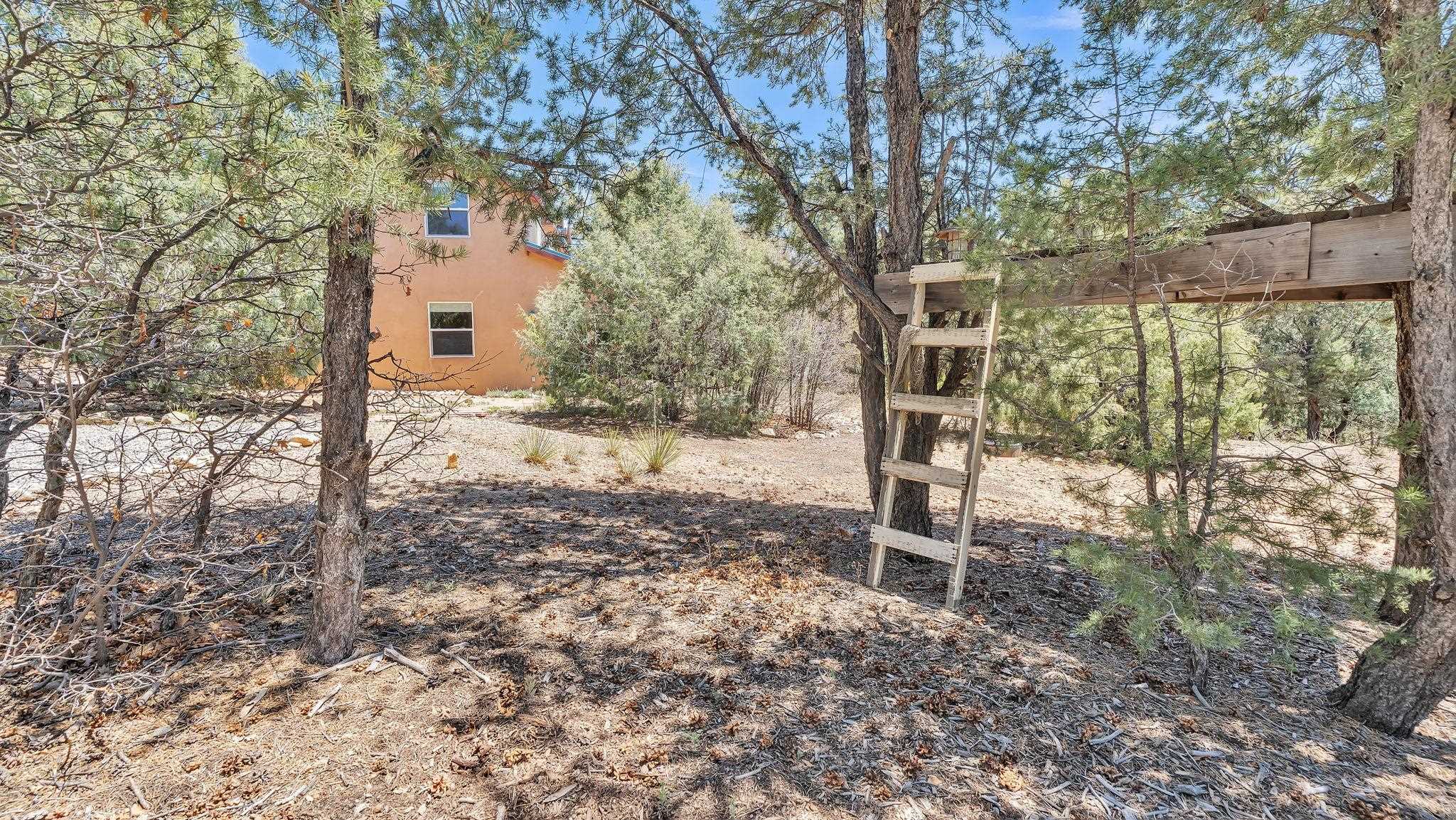 9 Dutchs Road, Valdez, New Mexico image 42