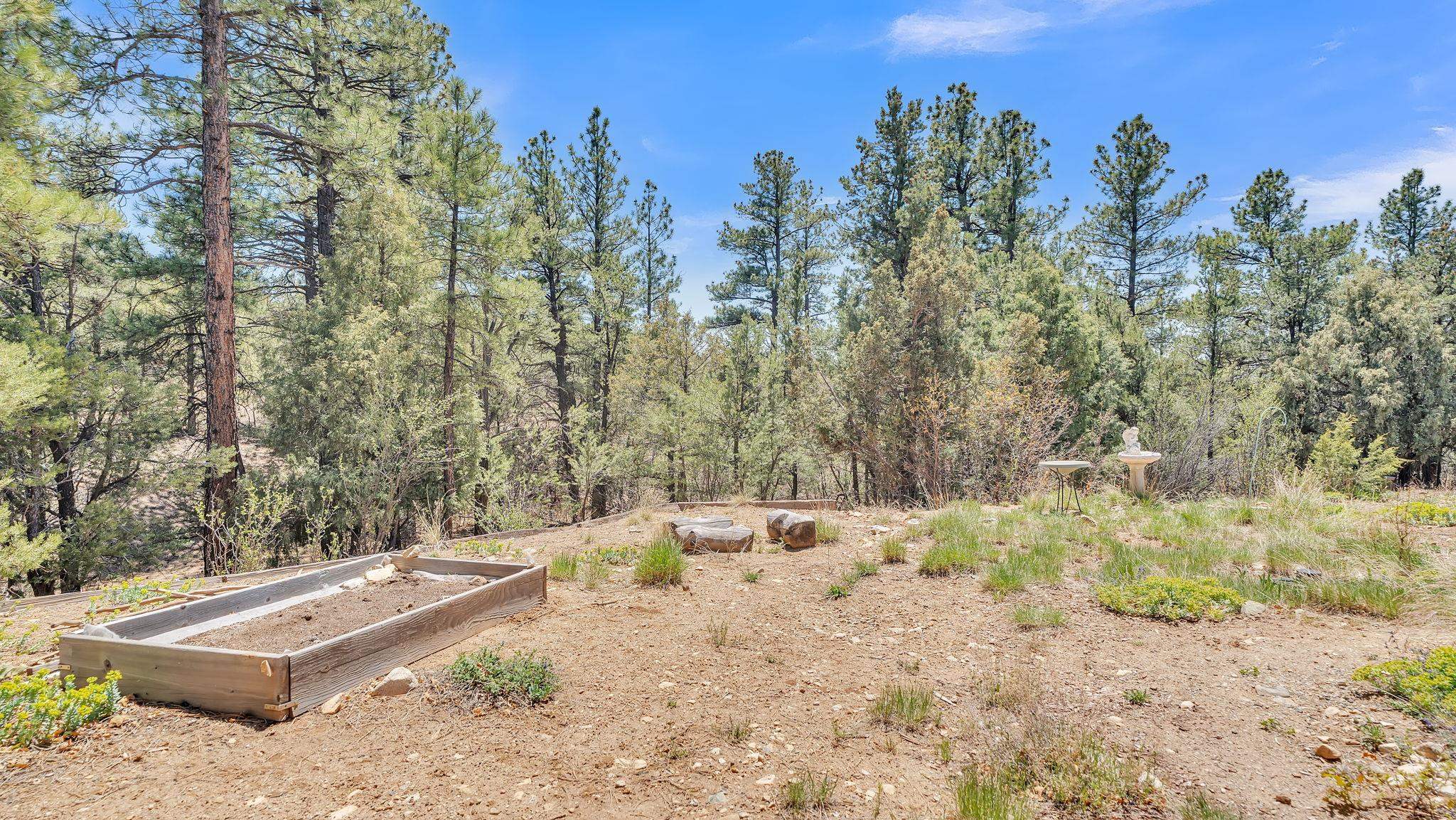 9 Dutchs Road, Valdez, New Mexico image 41