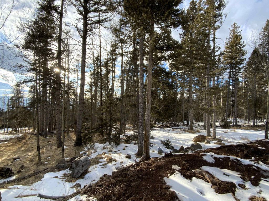 Photo of Lot 1267 Starlight Overlook, Angel Fire, NM 87710 (MLS # 112884)