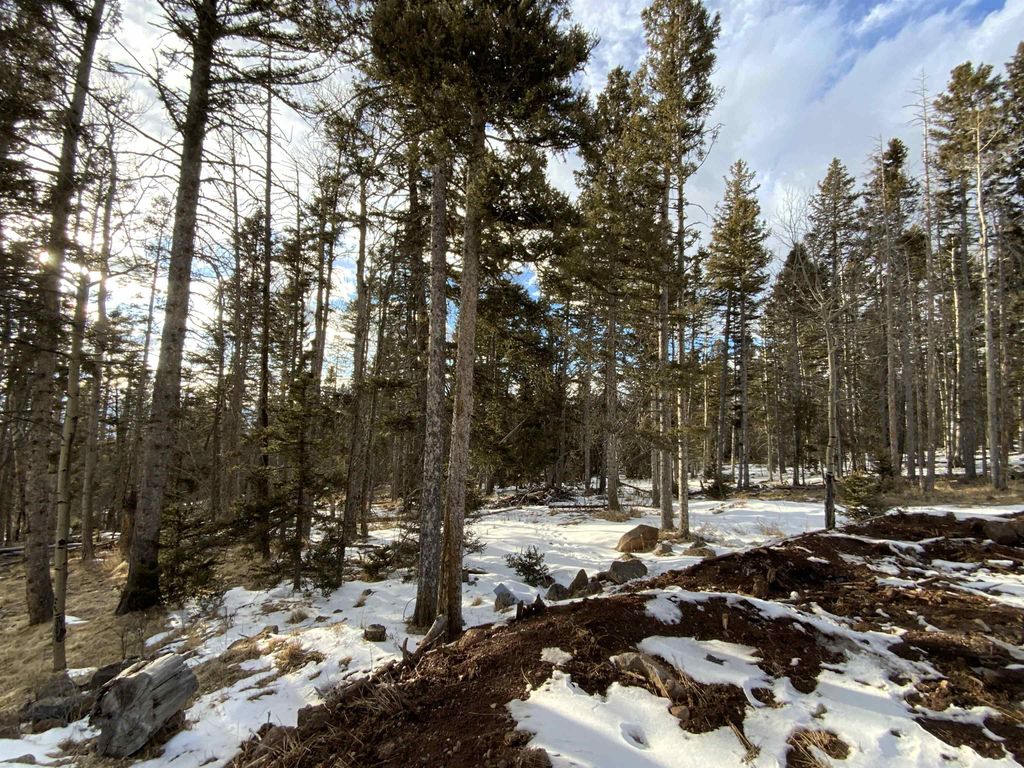 Photo of Lot 1267 Starlight Overlook, Angel Fire, NM 87710 (MLS # 112884)