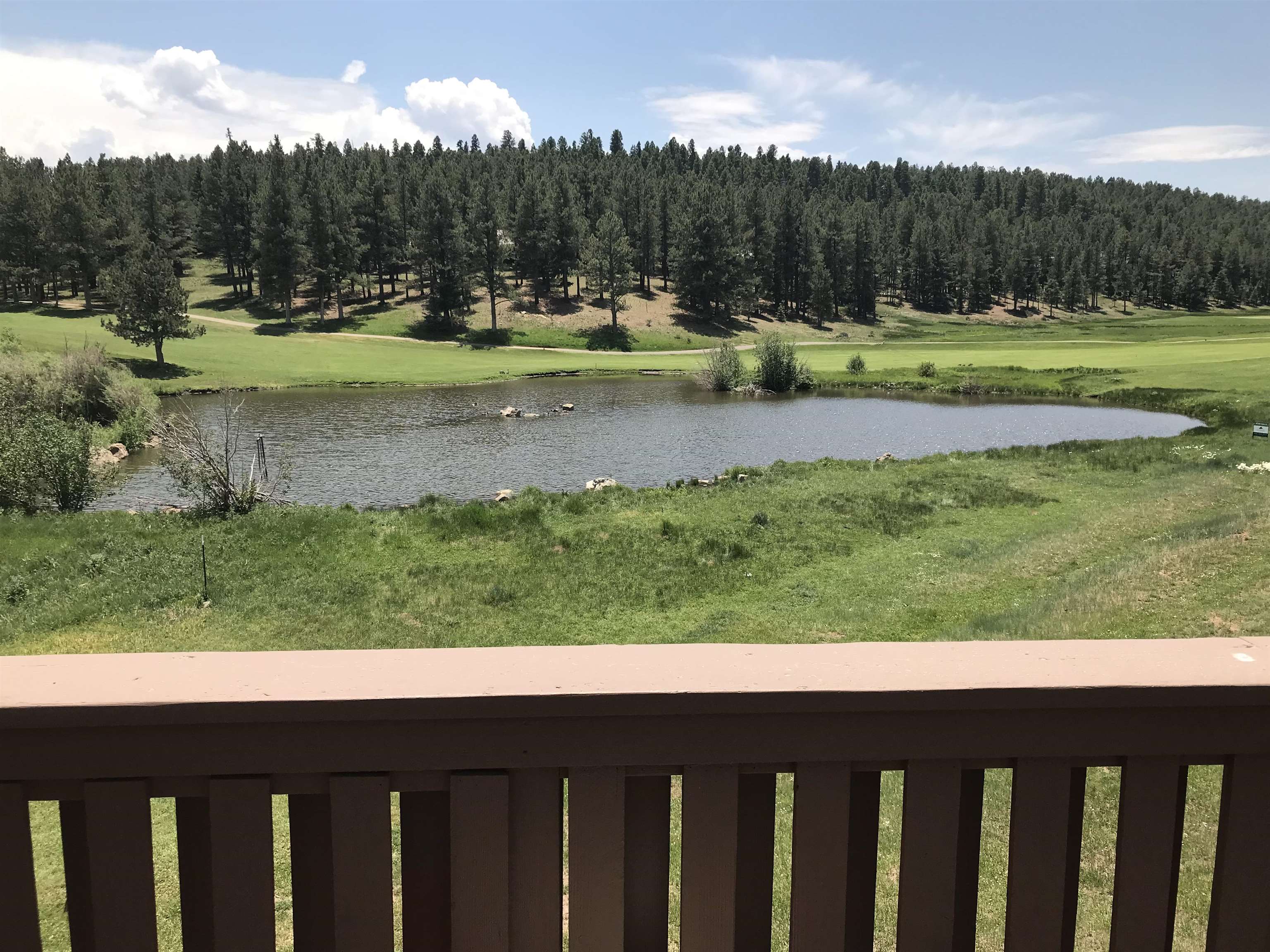 13 Woodlands Dr, Angel Fire, New Mexico image 31